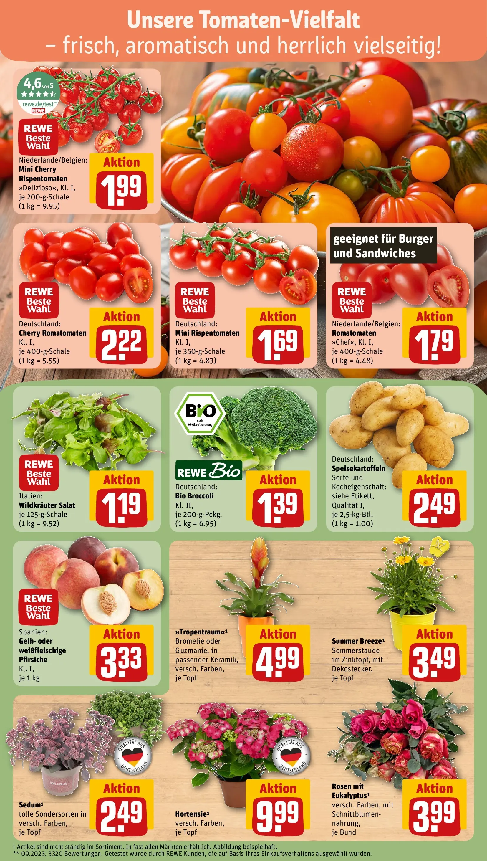 REWE Prospekt ab 13.07.2026 zum Blättern » Angebote | Seite: 7 | Produkte: Burger, Salat