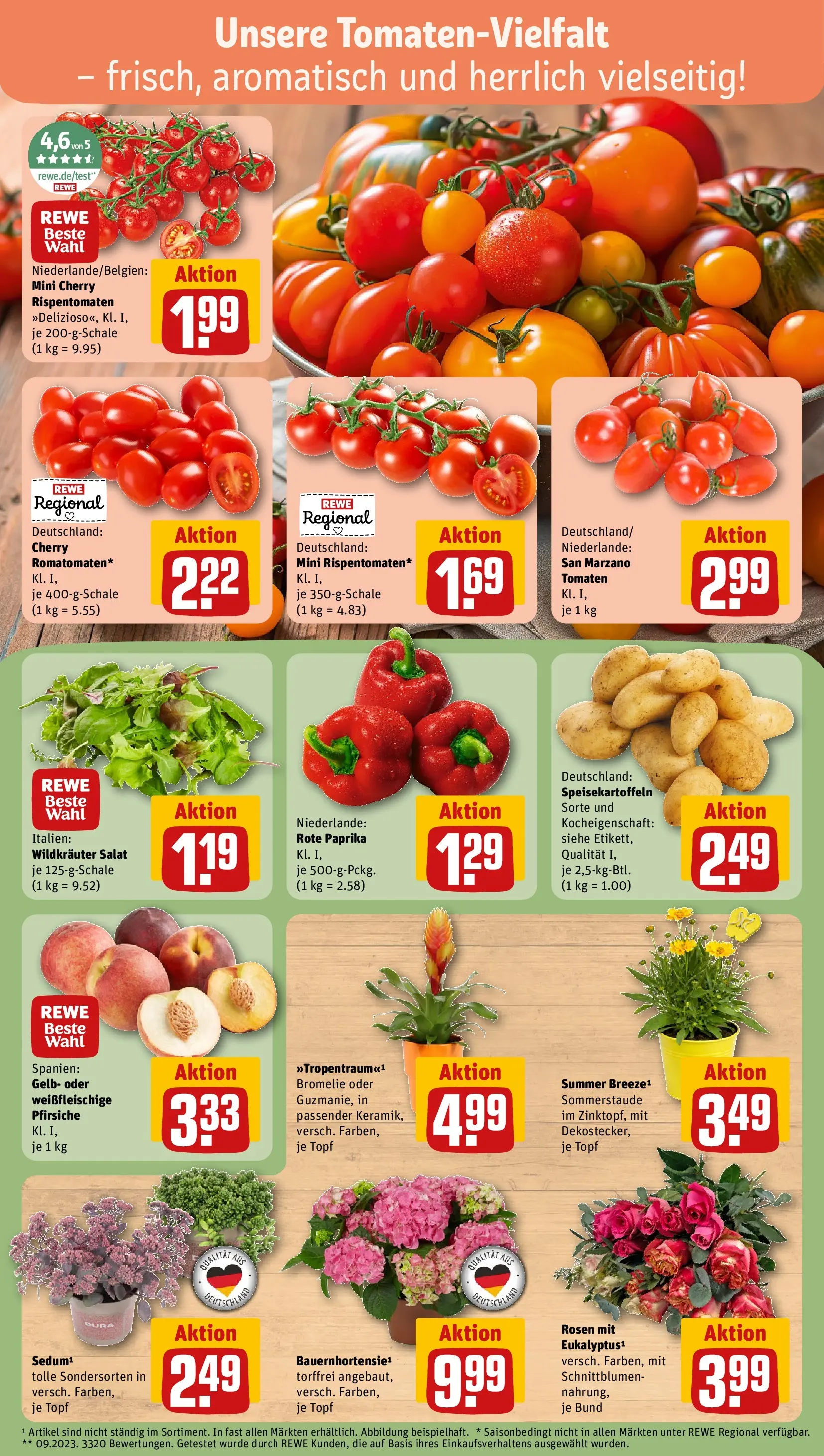 REWE Prospekt ab 12.07.2026 zum Blättern » Angebote | Seite: 7 | Produkte: Tomaten, Paprika, Salat