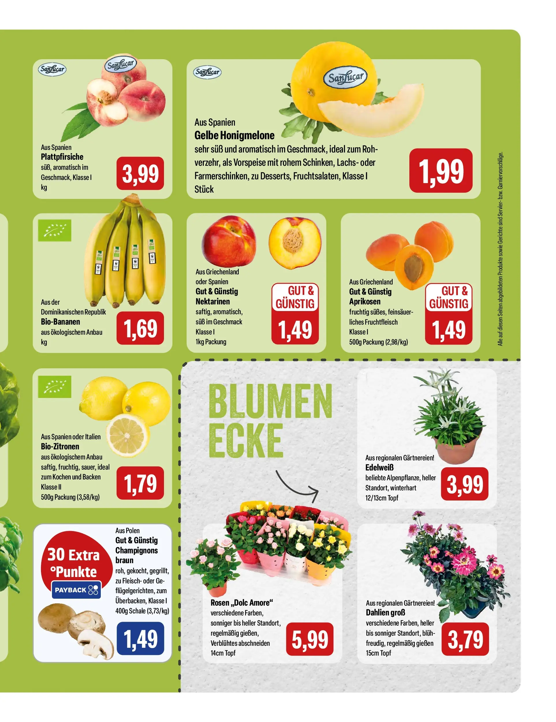 Feneberg Aktuelle Angebote (ab 16.07.2026) zum Blättern | Seite: 9 | Produkte: Blumen, Honigmelone, Champignons, Fleisch