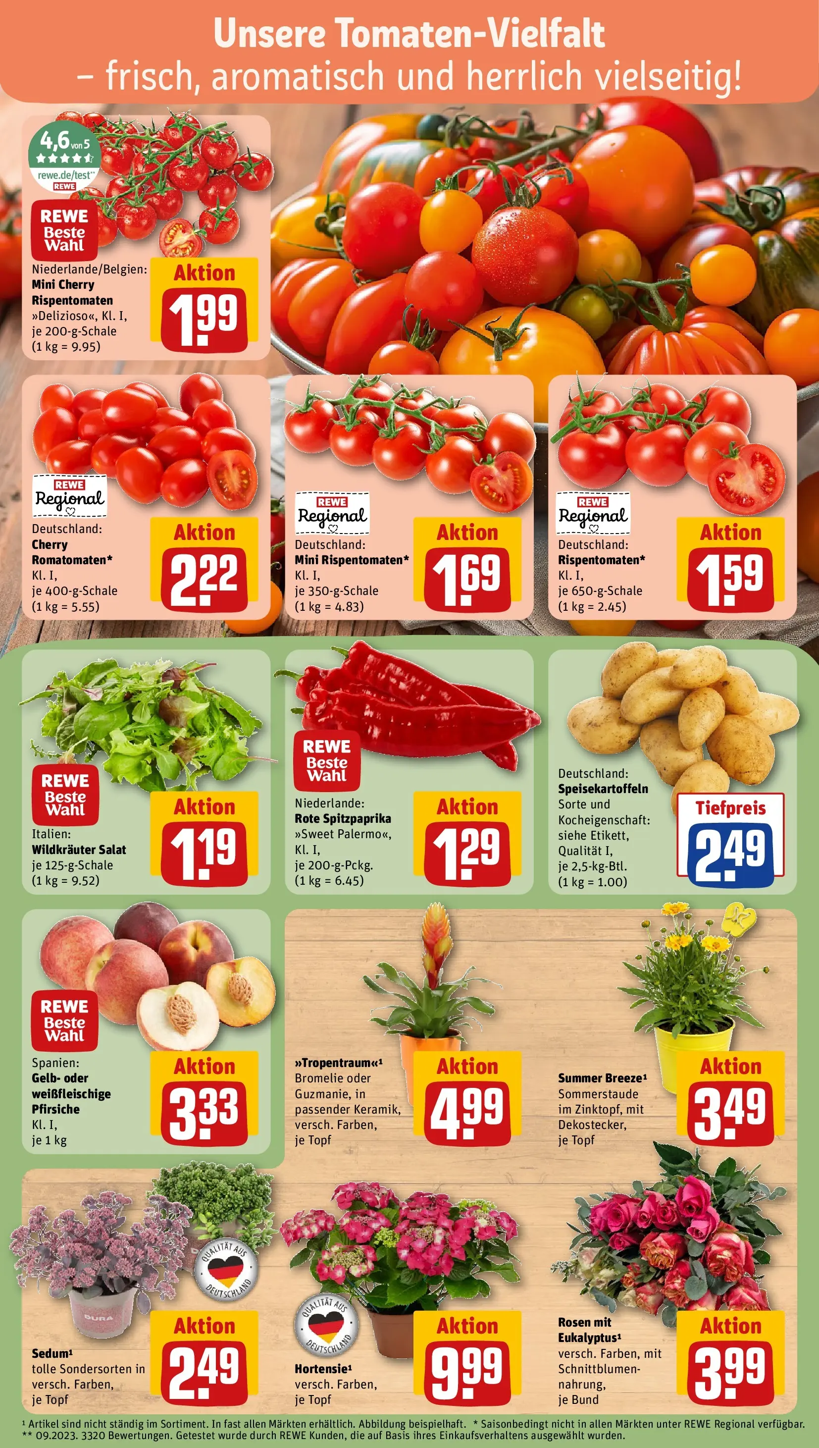 REWE Prospekt ab 13.07.2026 zum Blättern » Angebote | Seite: 5 | Produkte: Salat