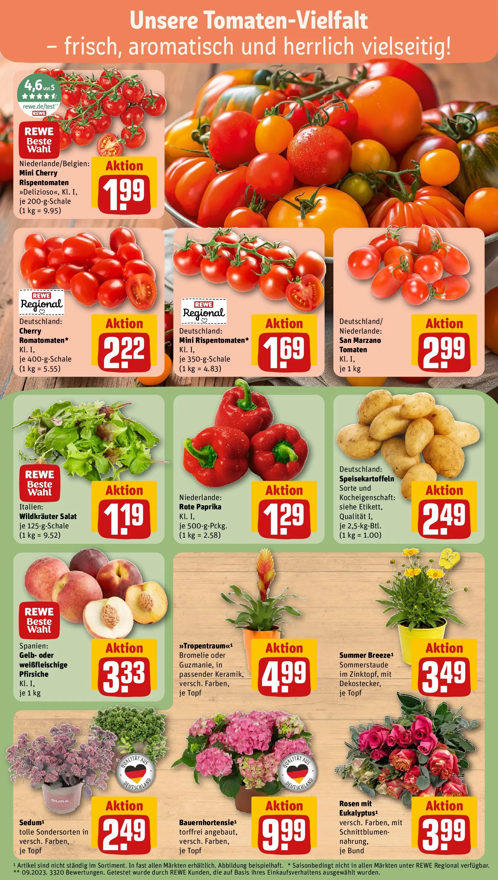 REWE Prospekt ab 13.07.2026 zum Blättern » Angebote | Seite: 7 | Produkte: Tomaten, Paprika, Salat