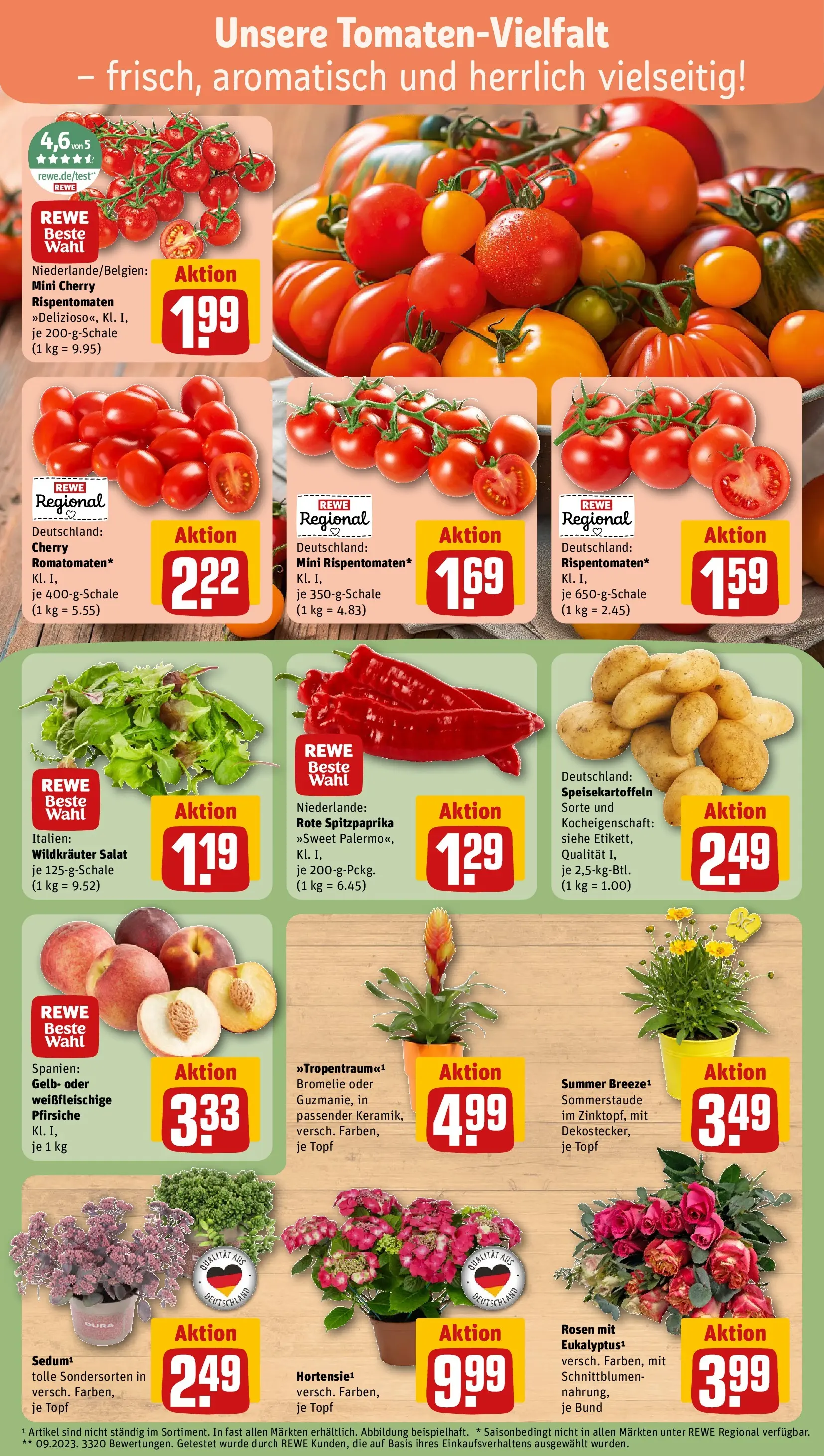 REWE Prospekt ab 13.07.2026 zum Blättern » Angebote | Seite: 7 | Produkte: Salat