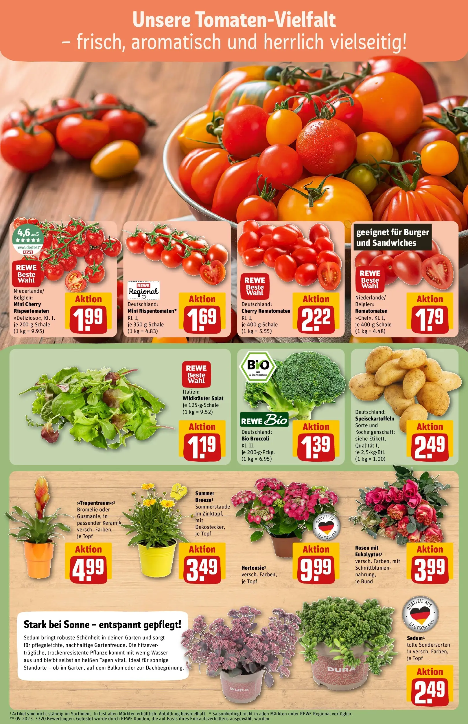 REWE Prospekt ab 13.07.2026 zum Blättern » Angebote | Seite: 7 | Produkte: Burger, Wasser, Salat