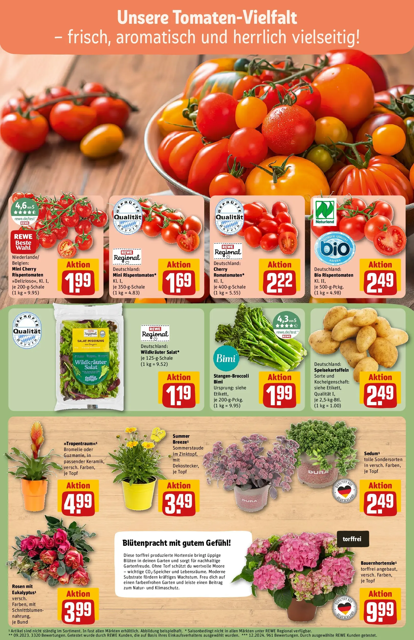 REWE Prospekt ab 13.07.2026 zum Blättern » Angebote | Seite: 7 | Produkte: Hortensie, Salat