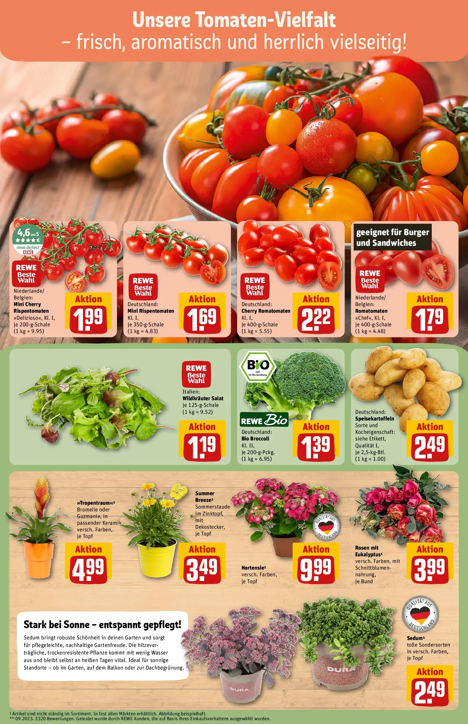REWE Prospekt ab 13.07.2026 zum Blättern » Angebote | Seite: 7 | Produkte: Burger, Wasser, Salat