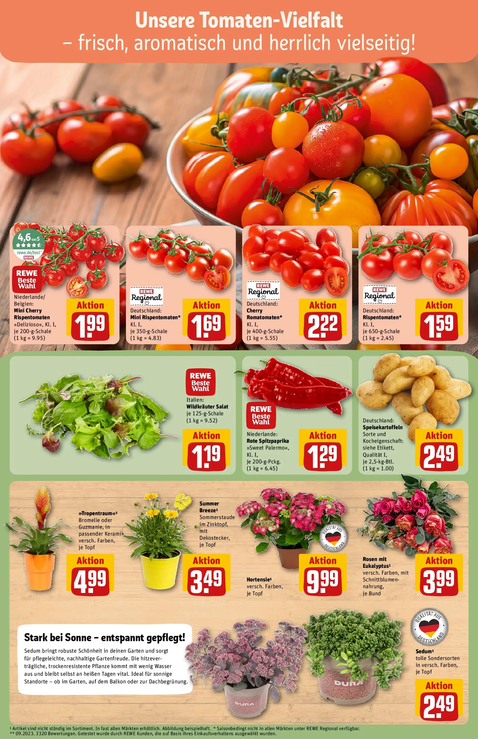 REWE Prospekt ab 13.07.2026 zum Blättern » Angebote | Seite: 7 | Produkte: Wasser, Salat