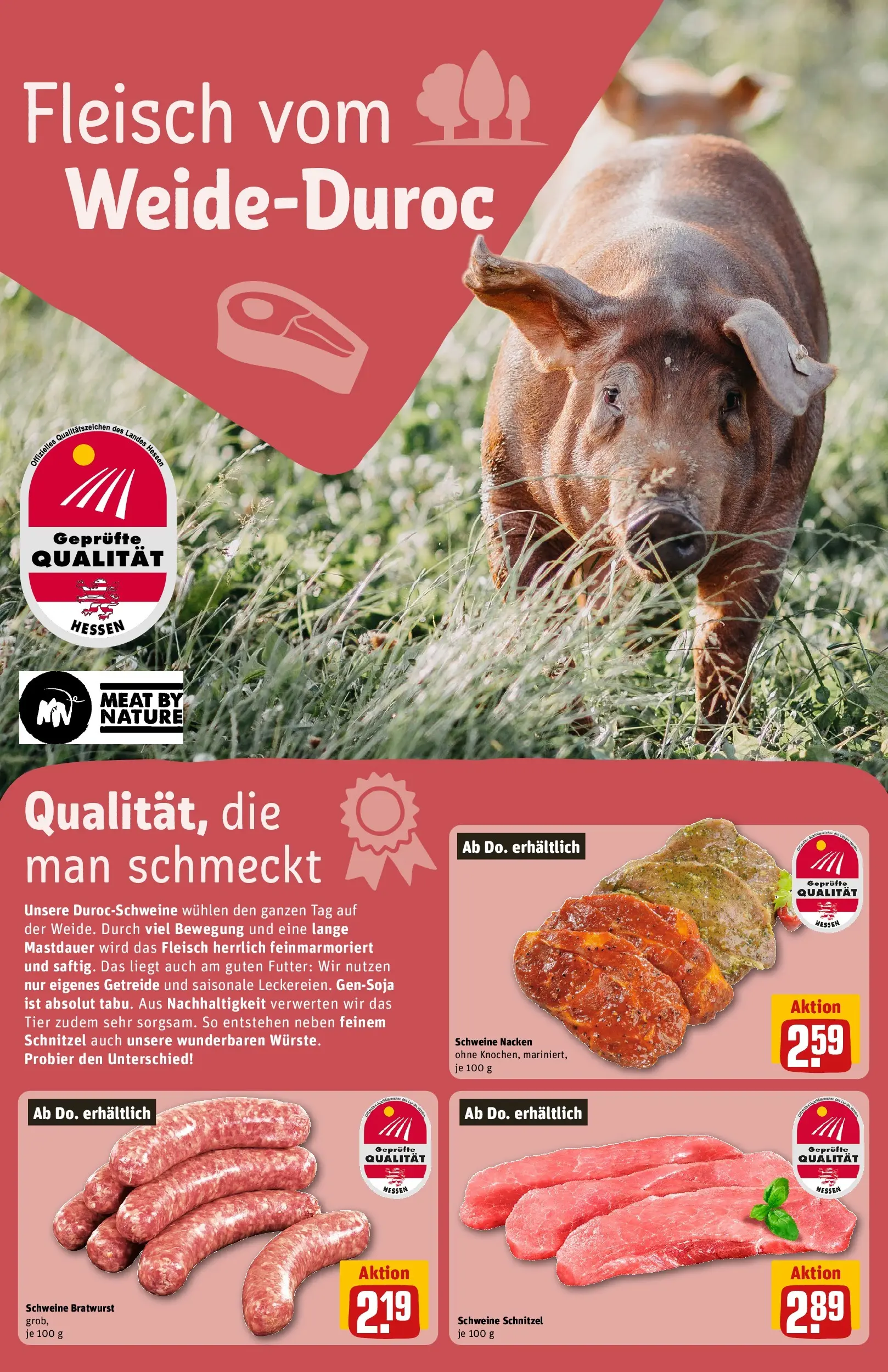 REWE Prospekt ab 13.07.2026 zum Blättern » Angebote | Seite: 13 | Produkte: Bratwurst, Schnitzel, Getreide, Fleisch