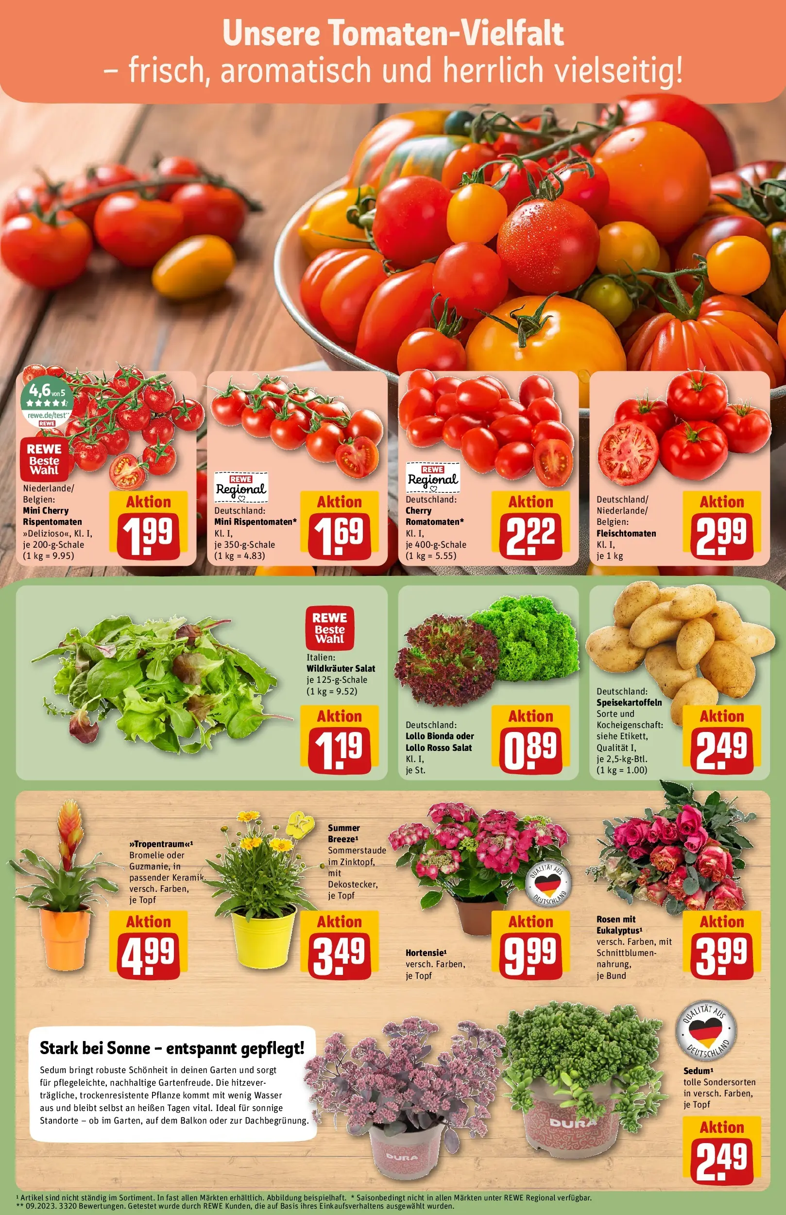 REWE Prospekt ab 13.07.2026 zum Blättern » Angebote | Seite: 7 | Produkte: Wasser, Salat