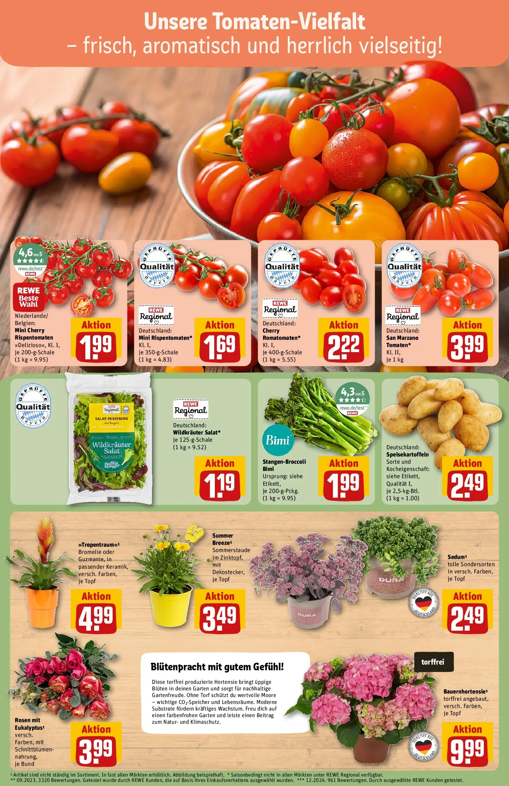 REWE Prospekt ab 13.07.2026 zum Blättern » Angebote | Seite: 7 | Produkte: Hortensie, Salat