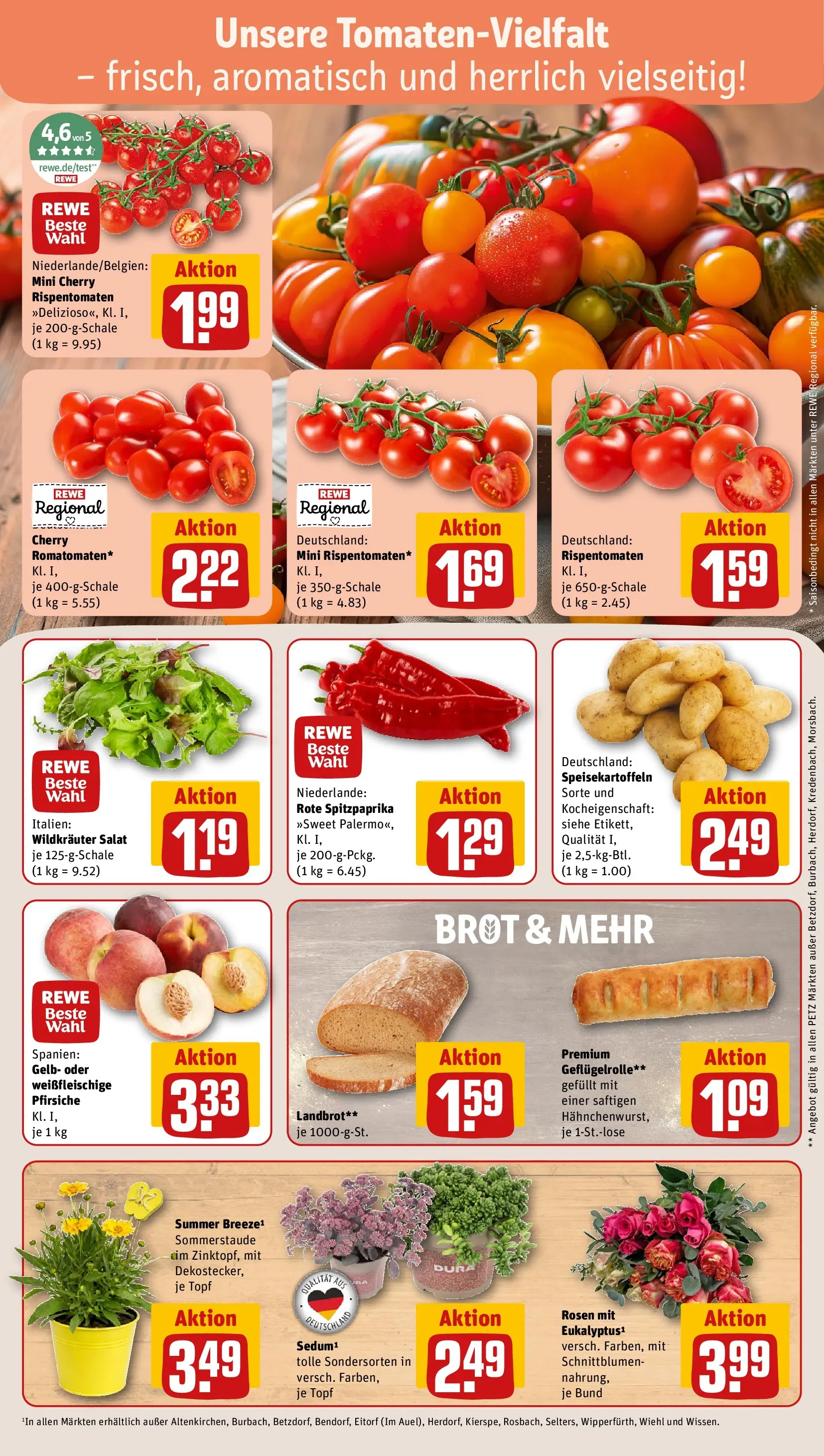 REWE Prospekt ab 13.07.2026 zum Blättern » Angebote | Seite: 7 | Produkte: Brot, Salat