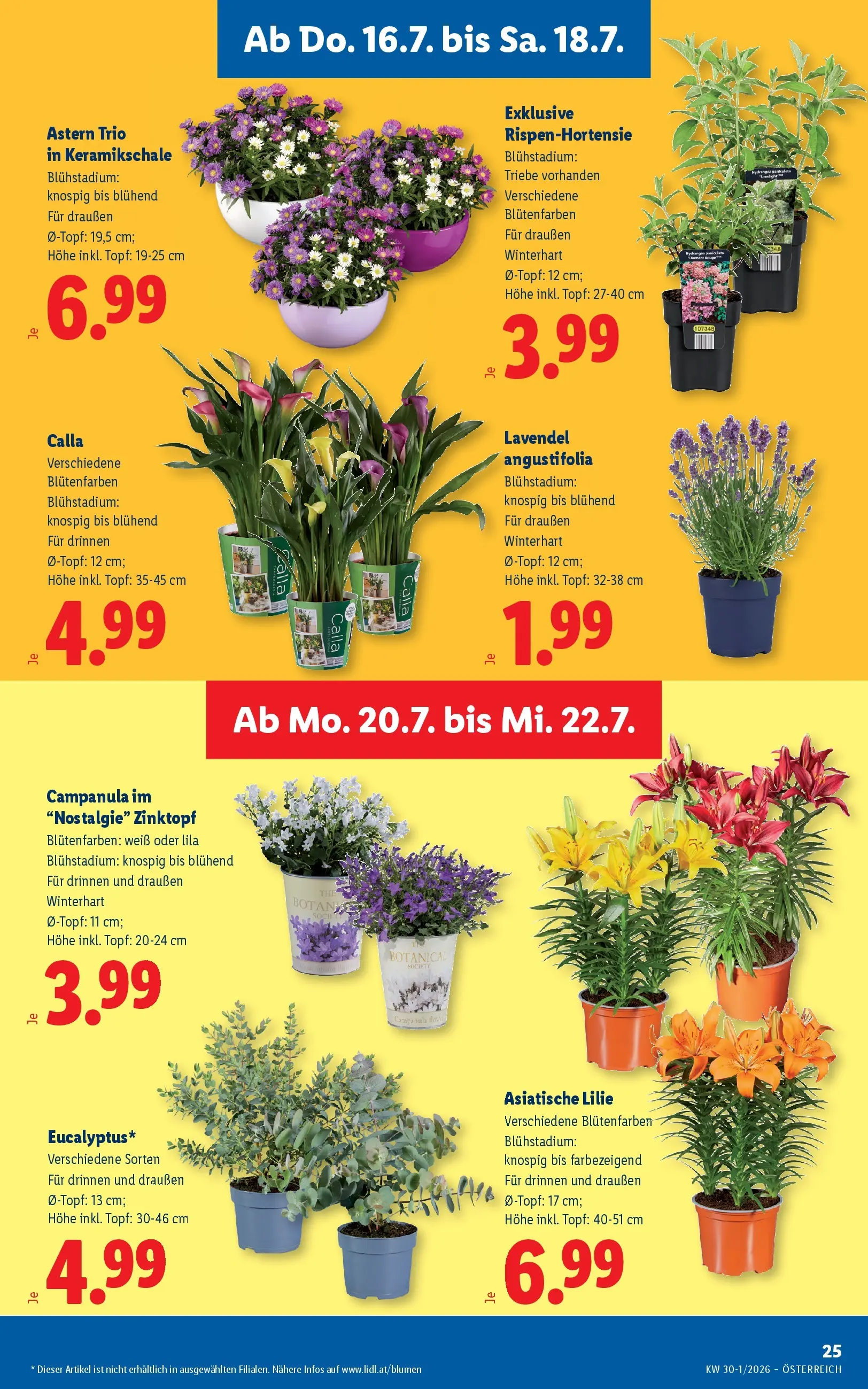 Lidl - Lidl ab 15.07.2026 - Angebote ab donnerstag | Seite: 29