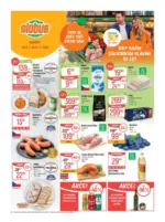 Globus Globus 28 26 L1 &ndash; do 14.07.2026