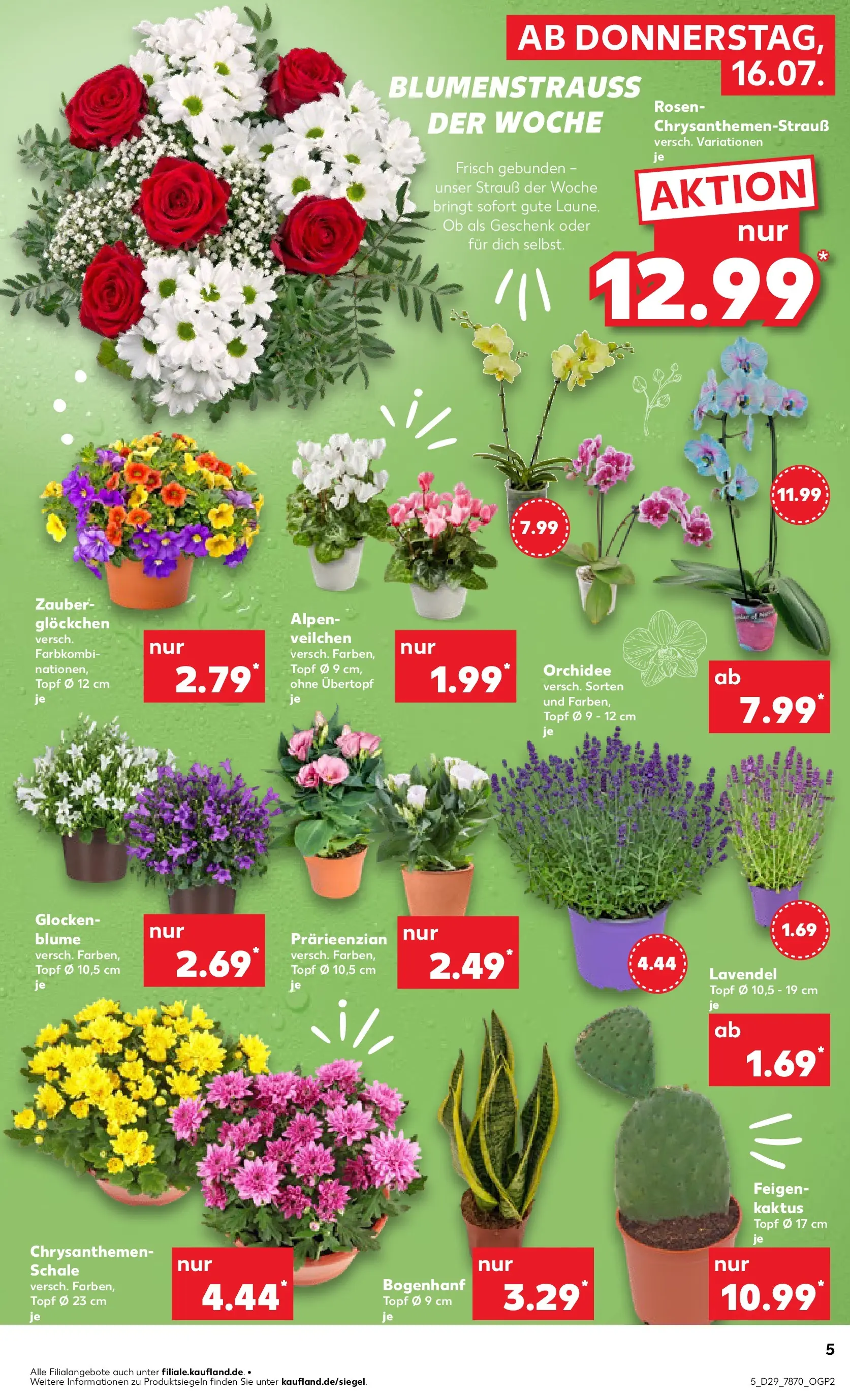 Prospekt Kaufland ab 13.07.2026 » Angebote Online zum Blättern | Seite: 18 | Produkte: Orchidee, Lavendel