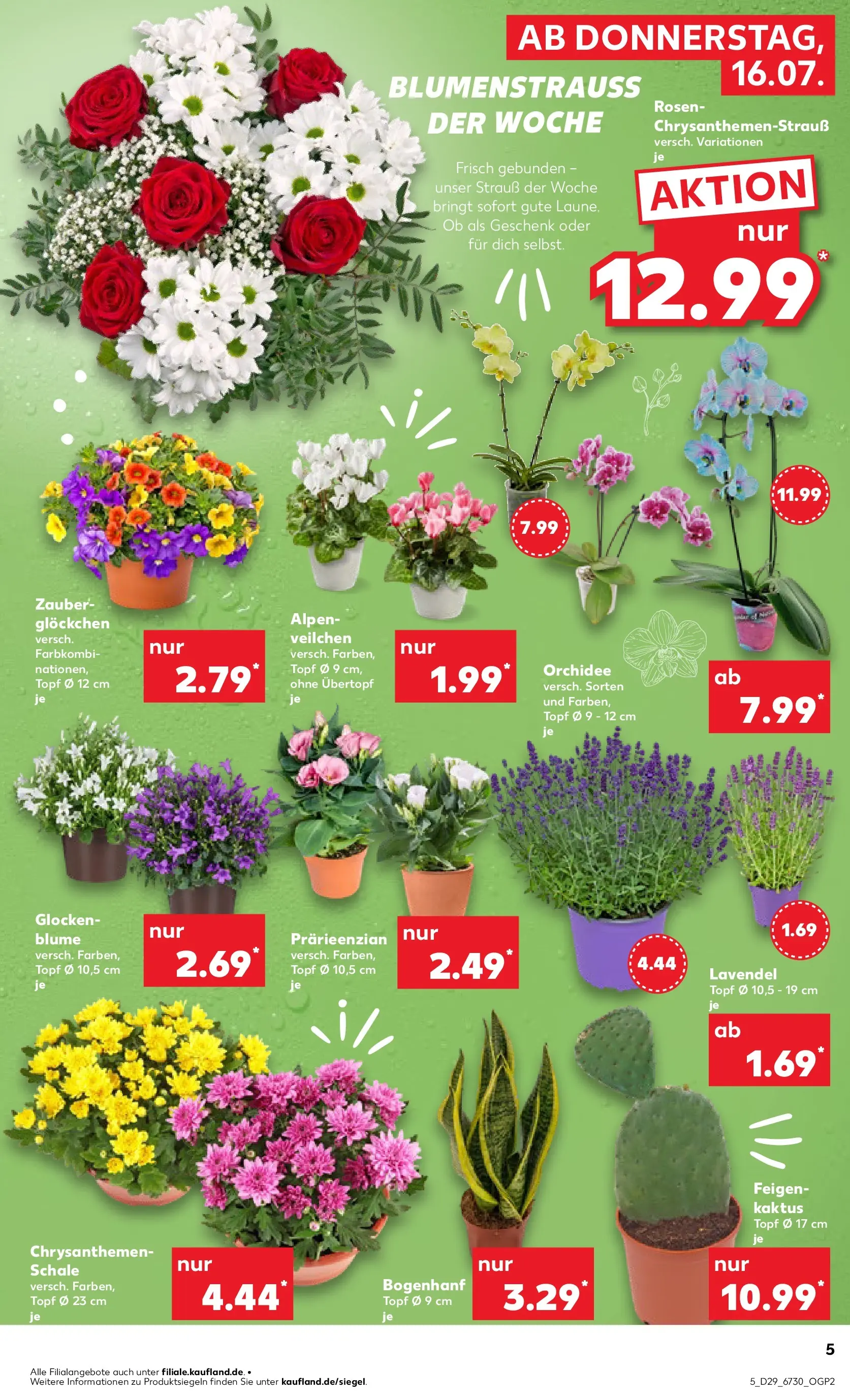 Prospekt Kaufland ab 13.07.2026 ยป Angebote und Werbung Online | Seite: 14 | Produkte: Orchidee, Lavendel Prospekt Kaufland ab 13.07.2026 ยป Angebote Online zum Blรคttern | Seite: 14 | Produkte: Orchidee, Lavendel
