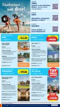 HOFER HOFER: Flugblatt - bis 16.07.2026