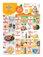 Globus Globus 29 26 L1 &ndash; do 21.07.2026