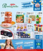 CAMPOROSSO SRL + spendi + risparmi - al 23.07.2026