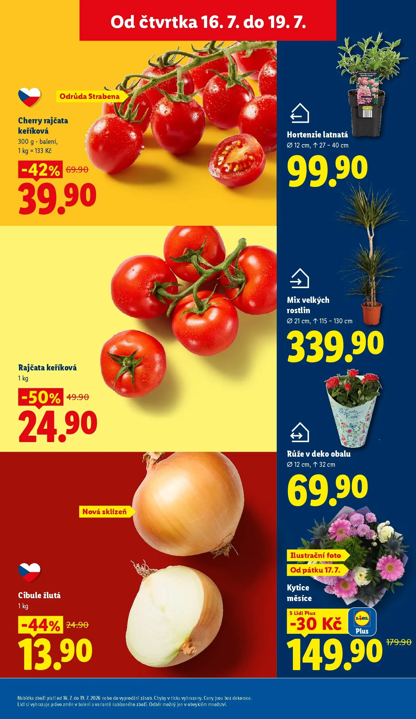 Lidl leták od 15.07.2026 - Nový akční leták | Strana: 15 | Produkty: Rajčata, Cherry rajčata, Kytice, Cibule