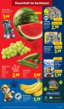Lidl Lidl: Wochenangebote - ab 20.07.2026