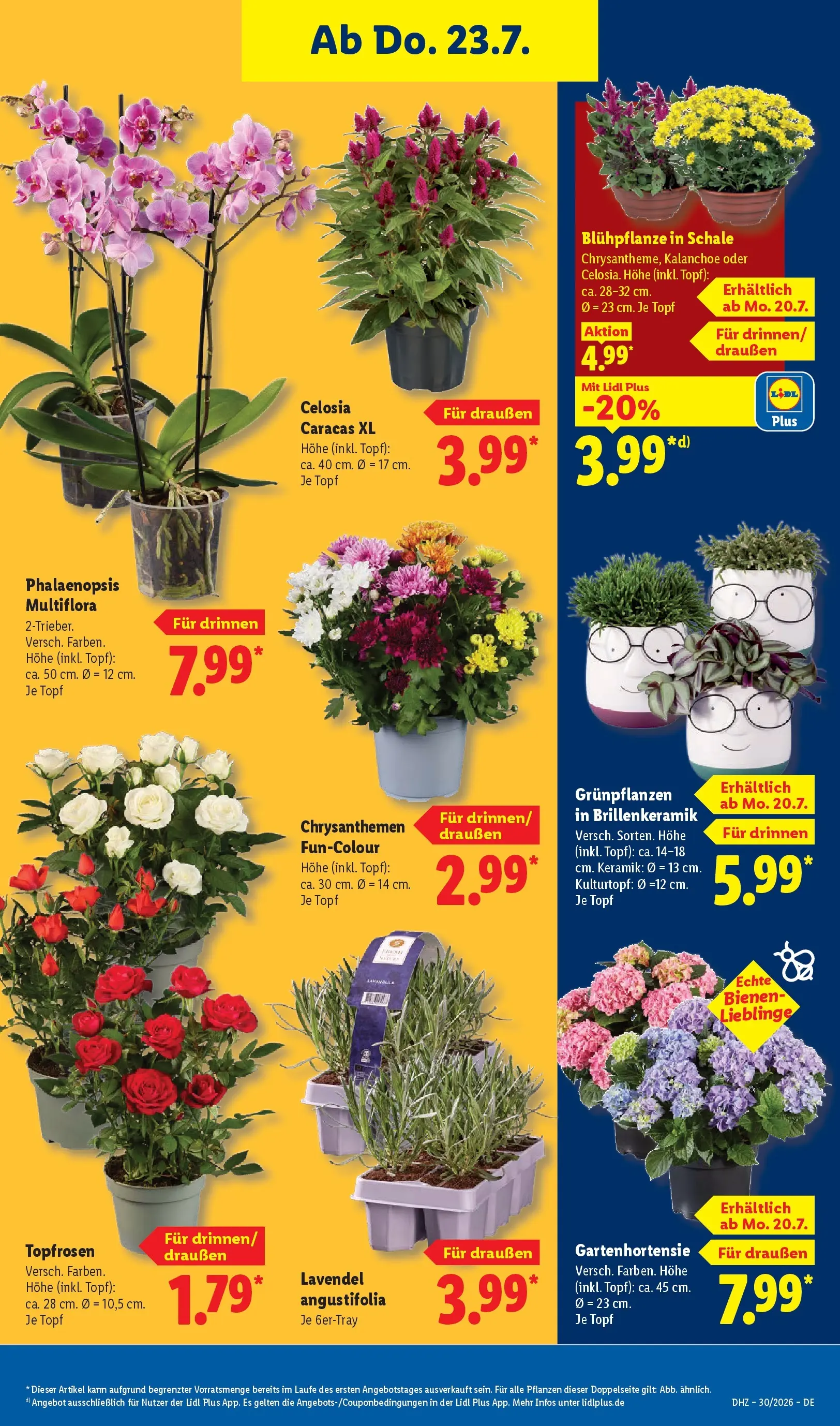 Lidl Prospekt Hof-innenstadt (ab 19.07.2026) ยป Angebote online | Seite: 29 | Produkte: Lavendel Lidl Prospekt Hof-innenstadt (ab 19.07.2026) zum Blรคttern ยป Angebote | Seite: 29 | Produkte: Lavendel