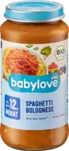 dm Meniu spaghete bolognese 12+