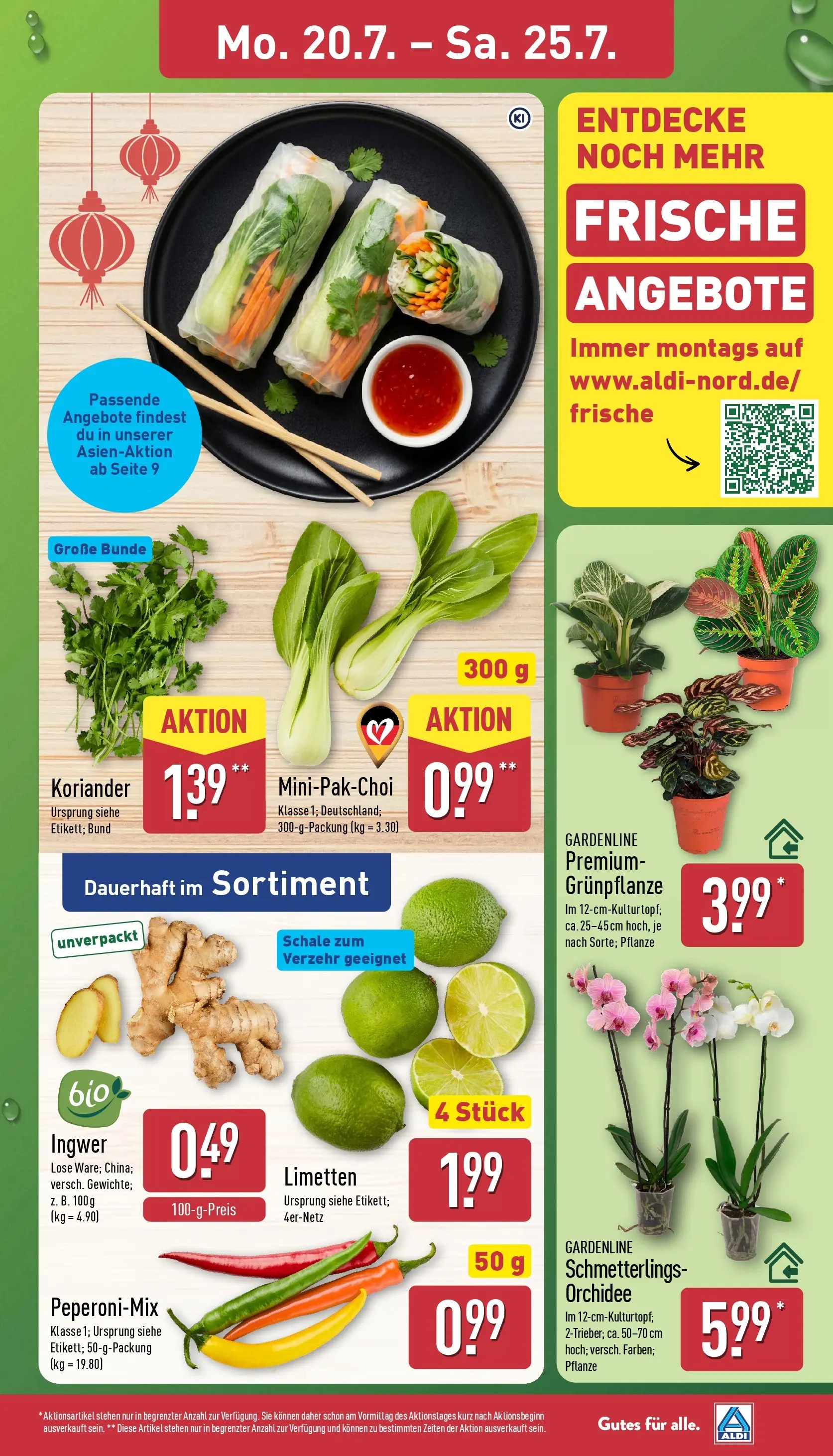 Aldi - ALDI Nord: Wochenangebote (ab 20.07.2026) » Angebote Online | Seite: 3 | Produkte: Limetten, Orchidee, Chili, Limette