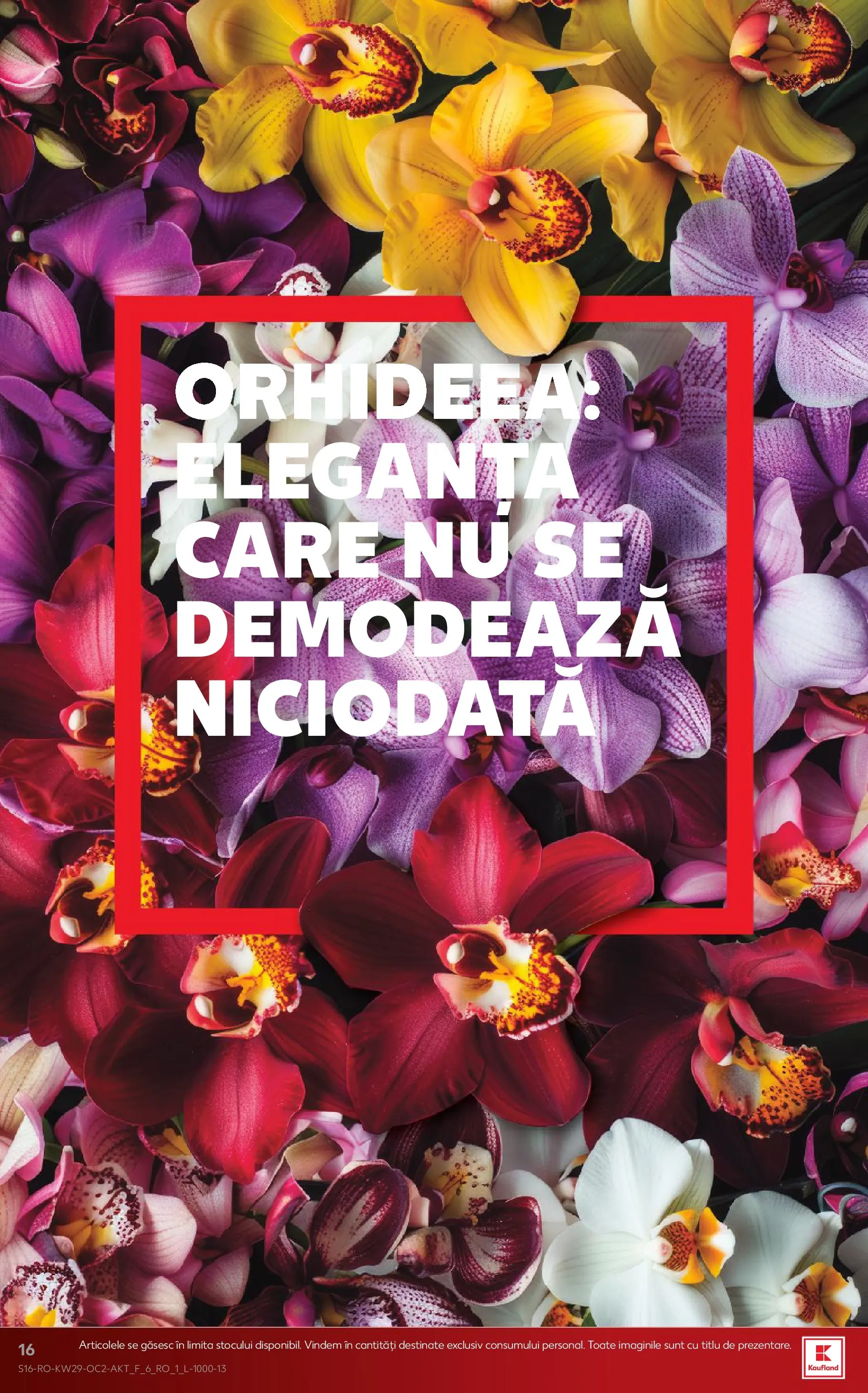Kaufland Domnesti 15.07.2026 || Revista si Oferte | Pagină: 16 Kaufland Domnesti 15.07.2026 - Revista si Oferta | Pagină: 16