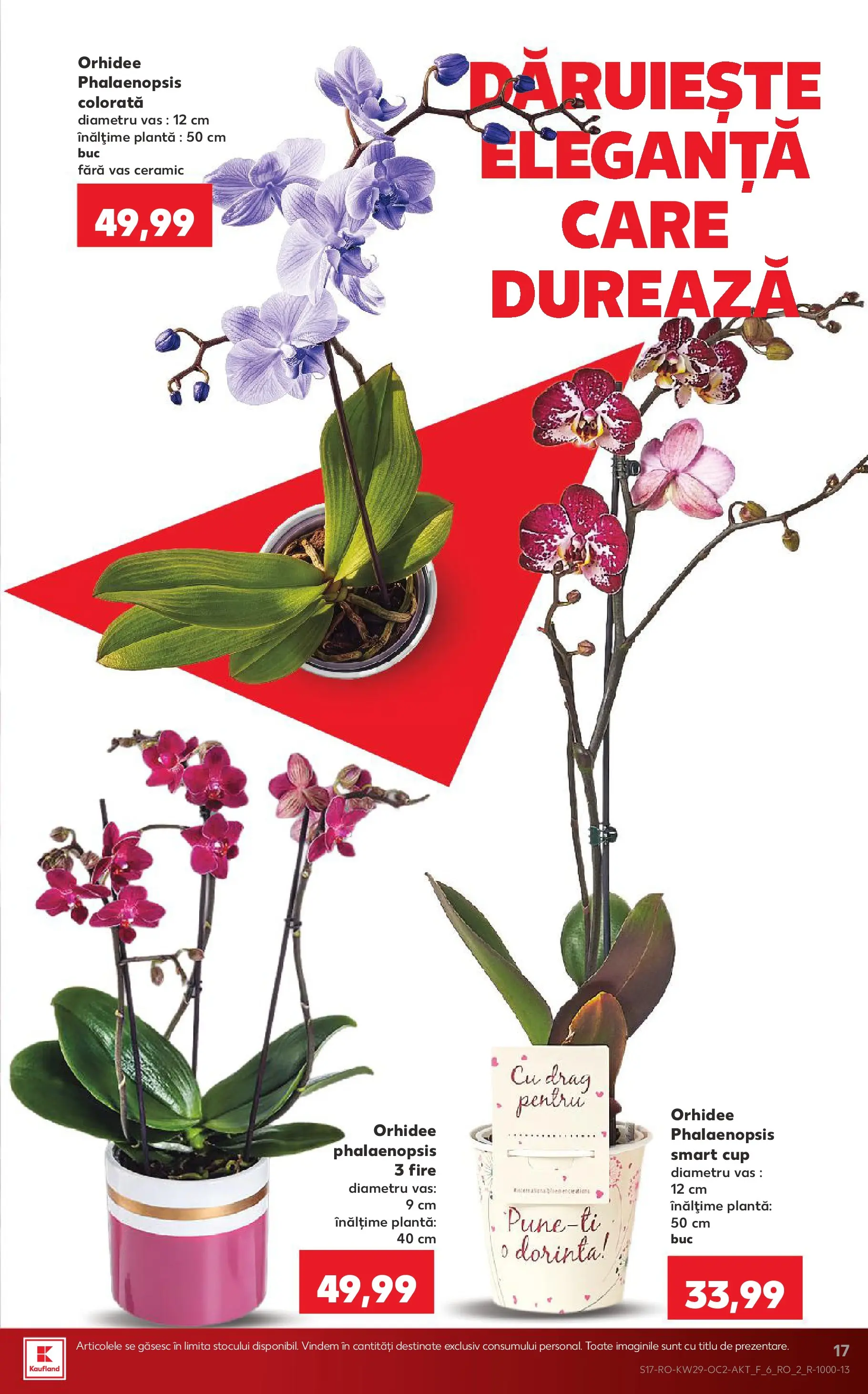 Kaufland Domnesti 15.07.2026 || Revista si Oferte | Pagină: 17 | Produse: Orhidee Kaufland Domnesti 15.07.2026 - Revista si Oferta | Pagină: 17 | Produse: Orhidee
