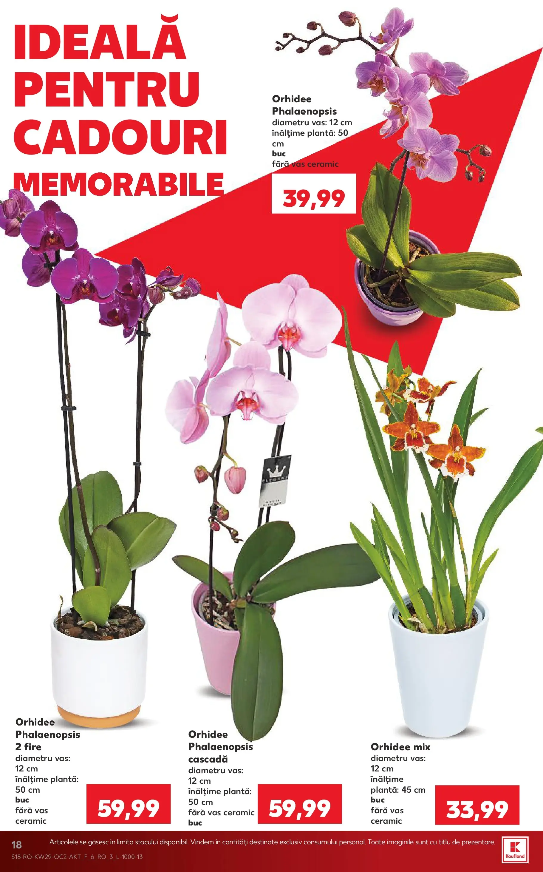 Kaufland Domnesti 15.07.2026 || Revista si Oferte | Pagină: 18 | Produse: Orhidee Kaufland Domnesti 15.07.2026 - Revista si Oferta | Pagină: 18 | Produse: Orhidee
