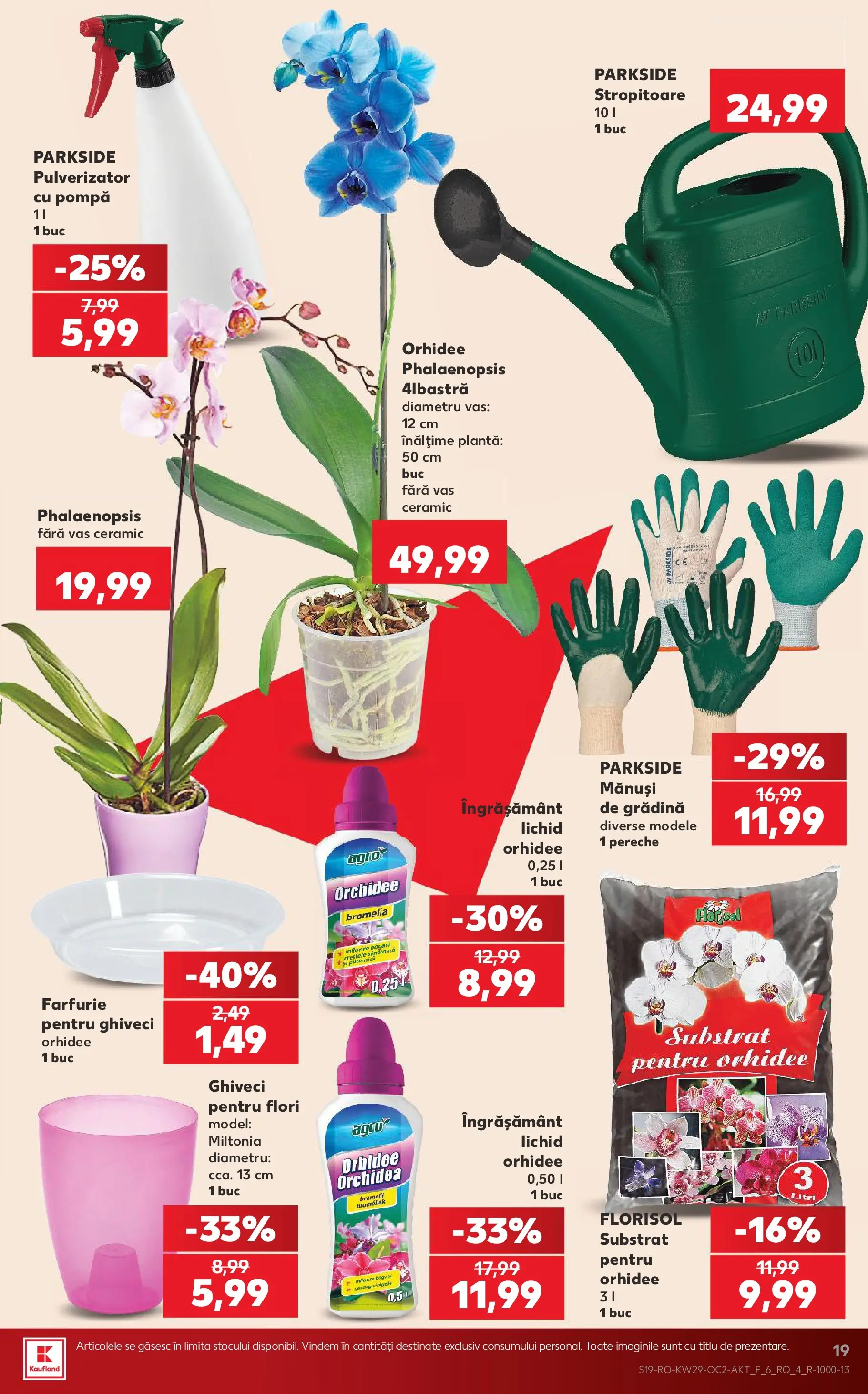 Kaufland Domnesti 15.07.2026 || Revista si Oferte | Pagină: 19 | Produse: Mănuși, Bromelia, Orhidee, Ghiveci Kaufland Domnesti 15.07.2026 - Revista si Oferta | Pagină: 19 | Produse: Mănuși, Bromelia, Orhidee, Ghiveci