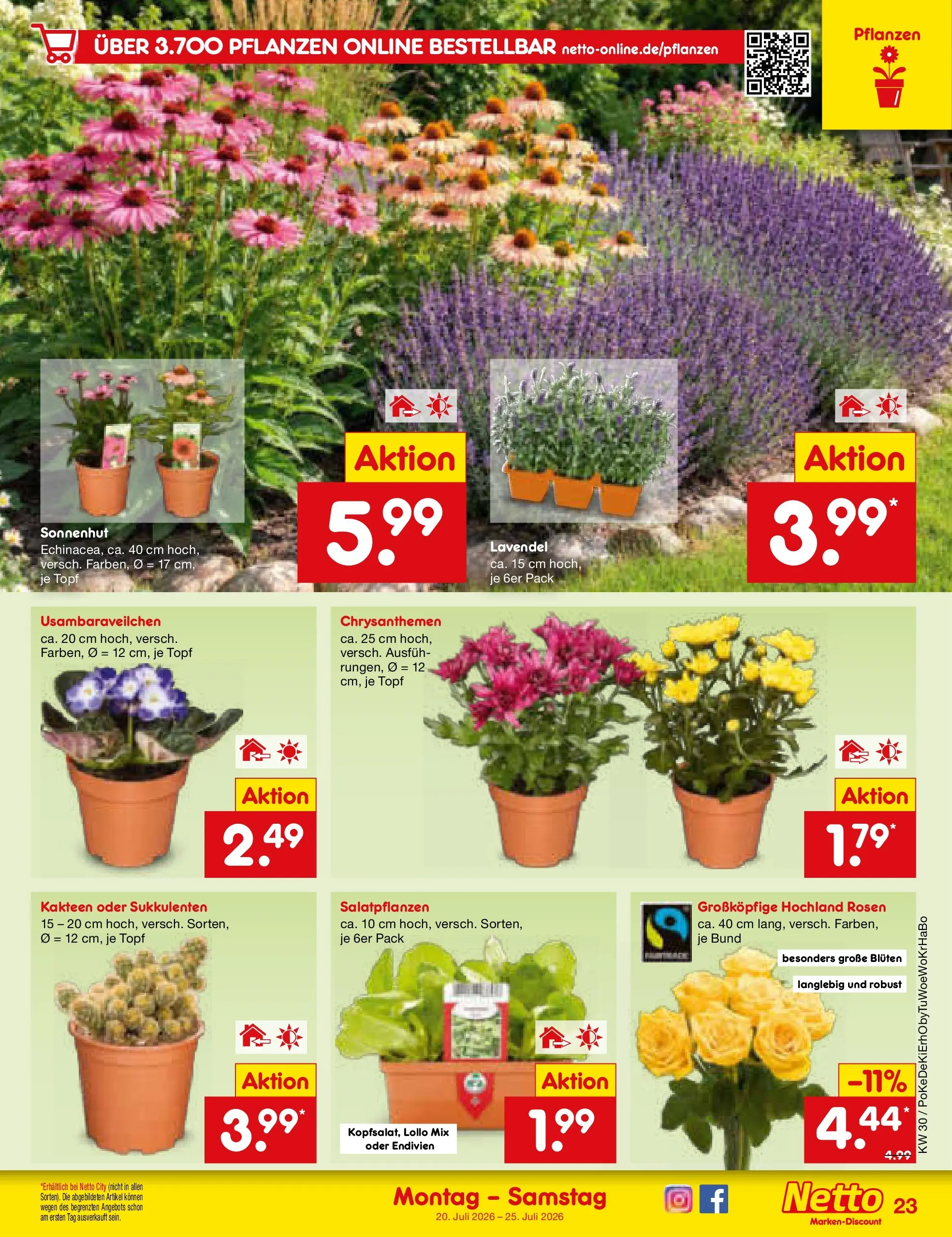 Netto Marken-Discount Prospekt Lahr-Langenwinkel (ab 19.07.2026) » Angebote | Seite: 39 | Produkte: Lavendel