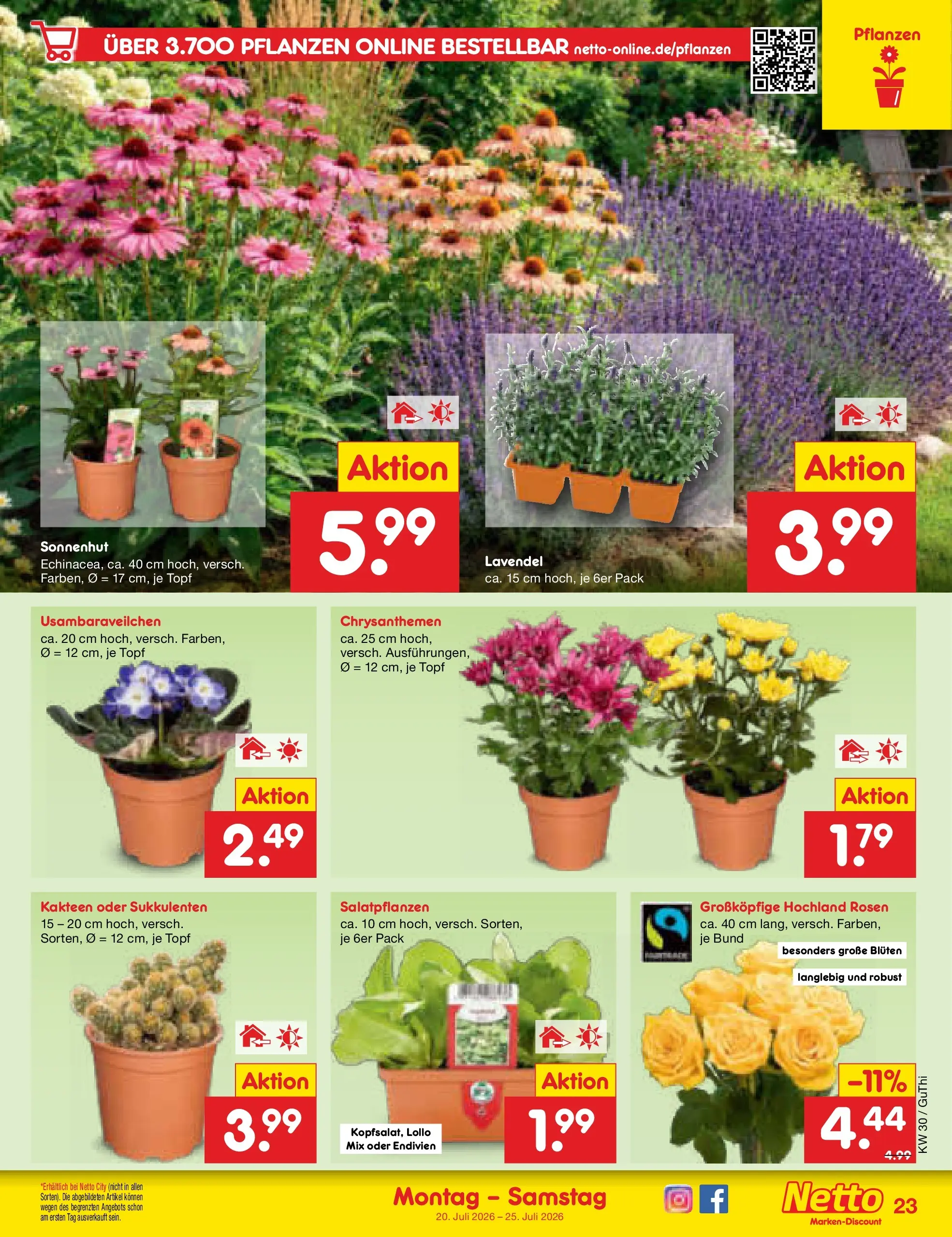 Netto Marken-Discount Prospekt Augustusburg (ab 19.07.2026) » Angebote | Seite: 39 | Produkte: Lavendel