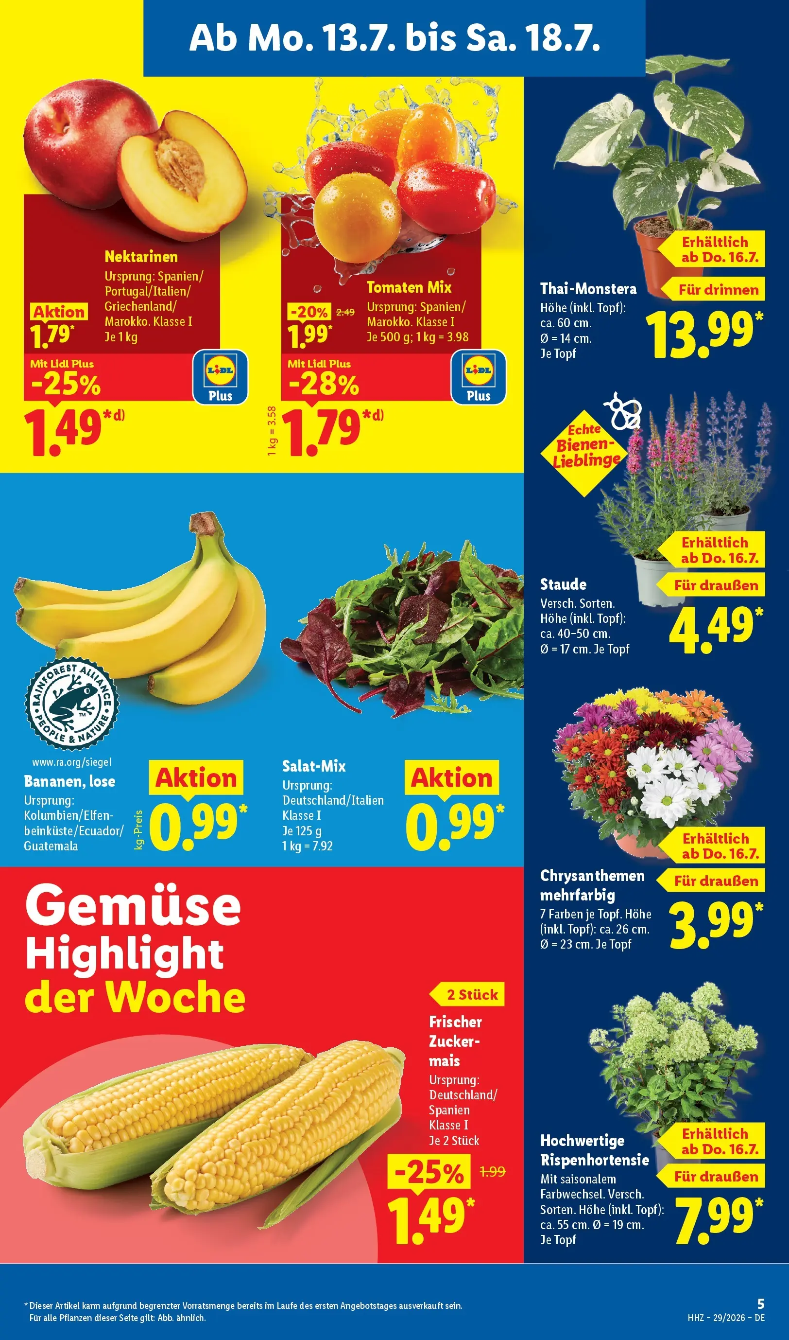 Lidl Prospekt Senftenberg (ab 13.07.2026) ยป Angebote online | Seite: 3 | Produkte: Nektarinen, Tomaten, Gemรผse, Zucker Lidl Prospekt Senftenberg (ab 13.07.2026) zum Blรคttern ยป Angebote | Seite: 3 | Produkte: Nektarinen, Tomaten, Gemรผse, Zucker
