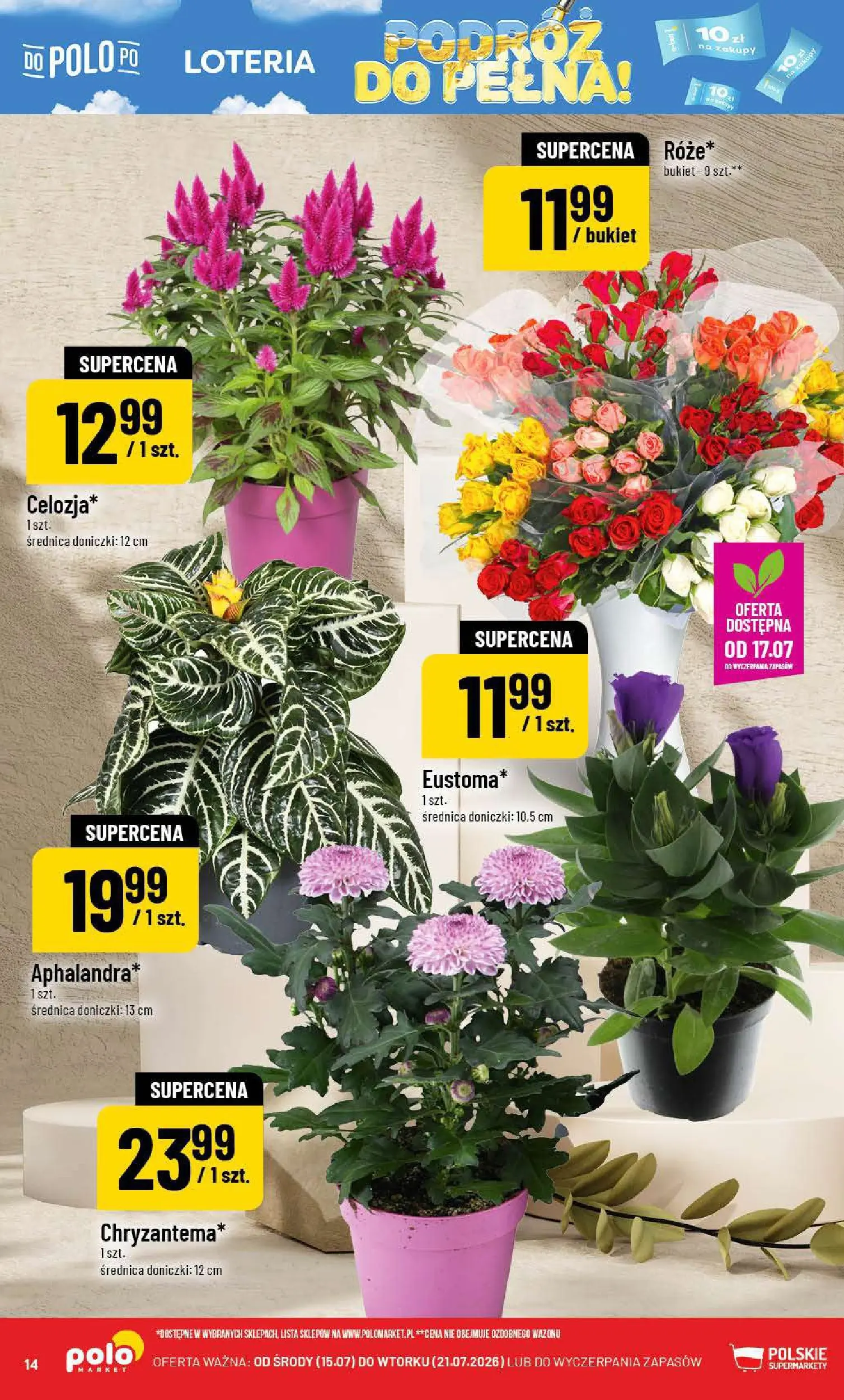 Nowa POLOmarket gazetka od jutra 15.07.2026 | Strona: 14 | Produkty: Doniczki