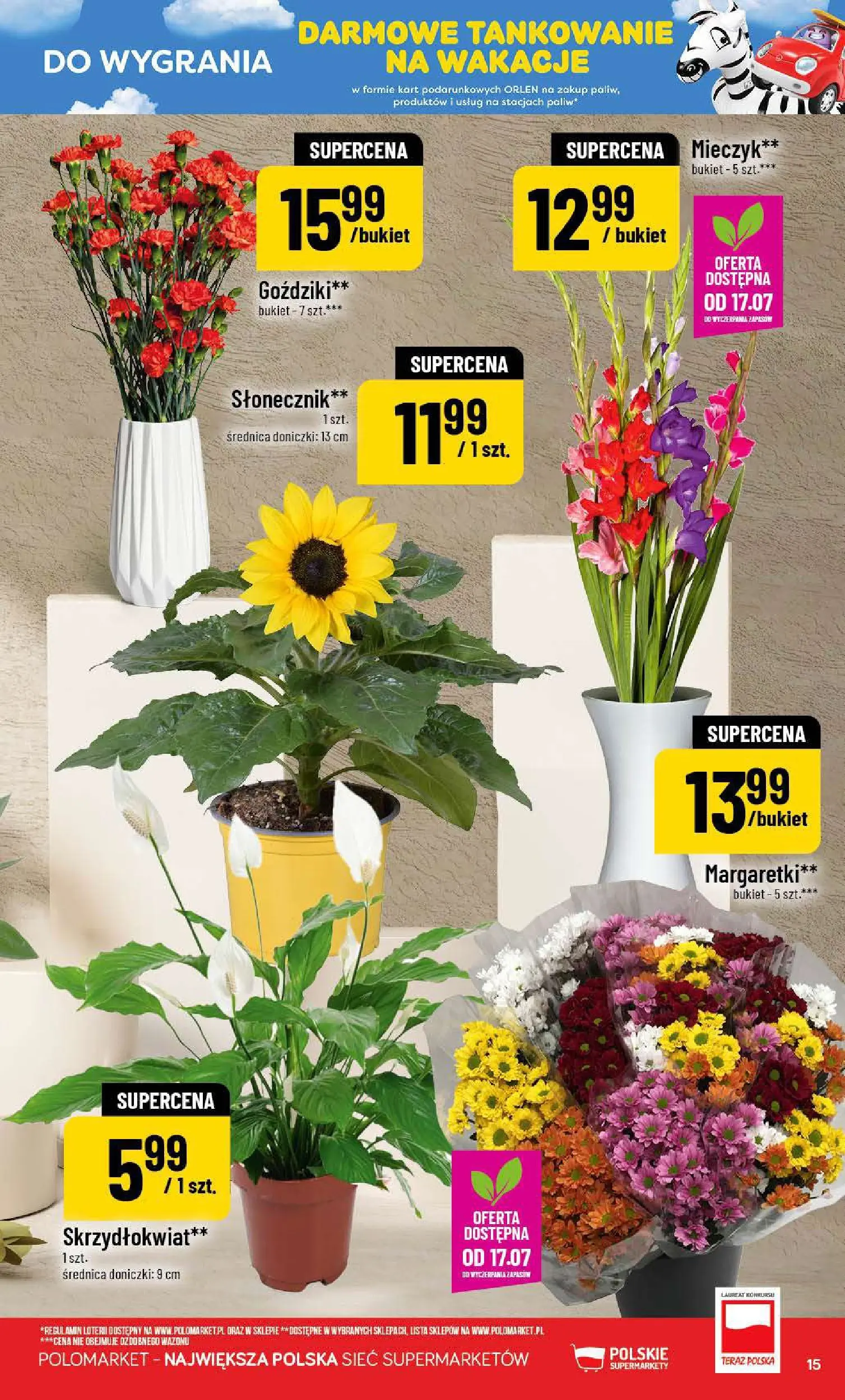 Nowa POLOmarket gazetka od jutra 15.07.2026 | Strona: 15 | Produkty: Goździki, Słonecznik, Doniczki