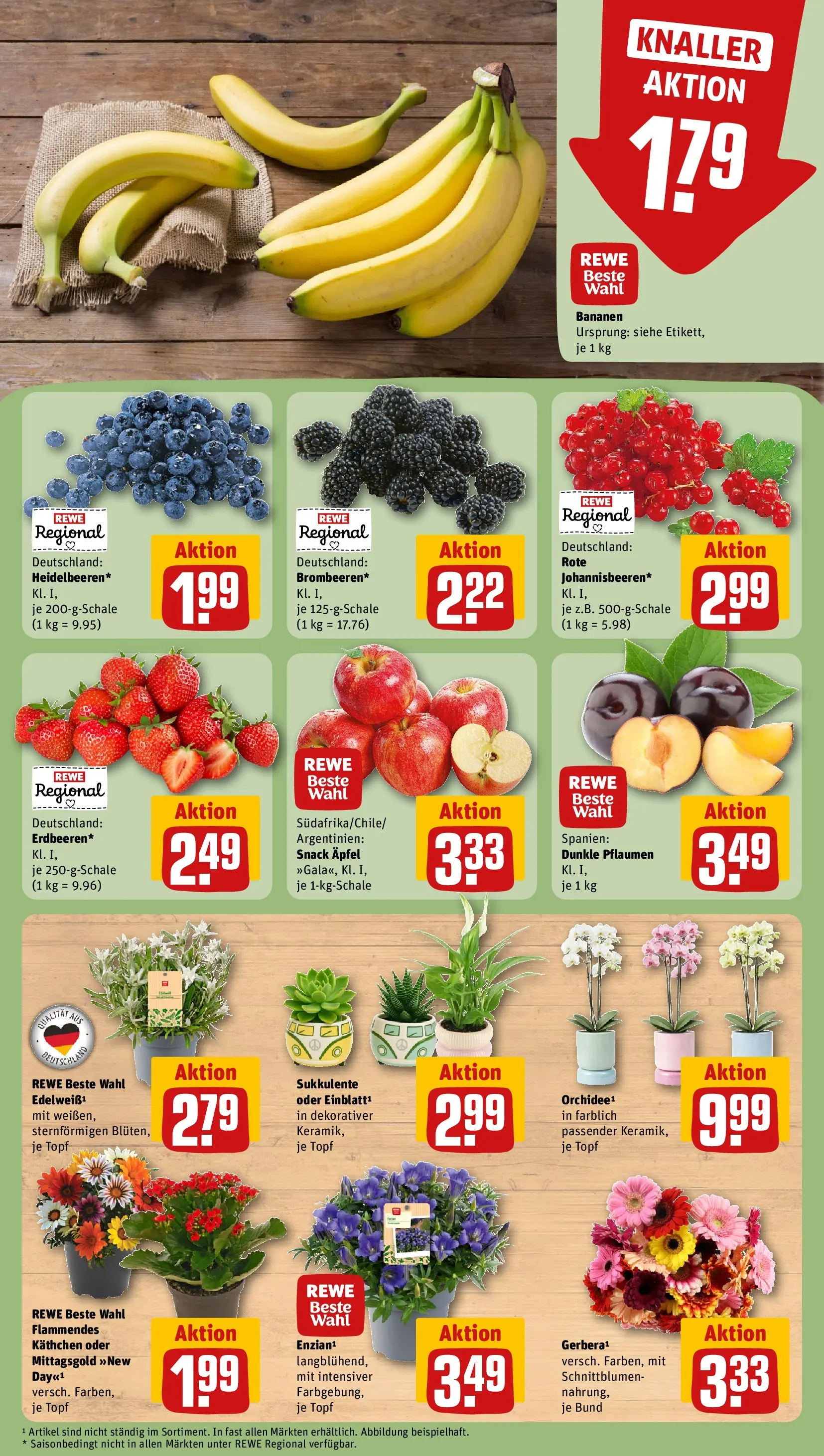 REWE Prospekt ab 20.07.2026 zum Blättern » Angebote | Seite: 9 | Produkte: Pflaumen, Äpfel, Bananen