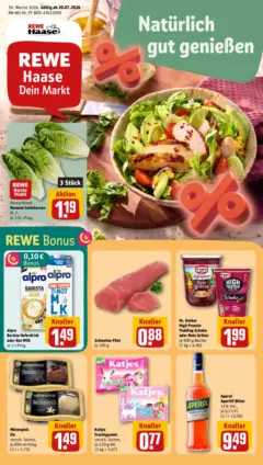 Rewe Prospekt Haffkrug ab 20.07.2026 gültig
