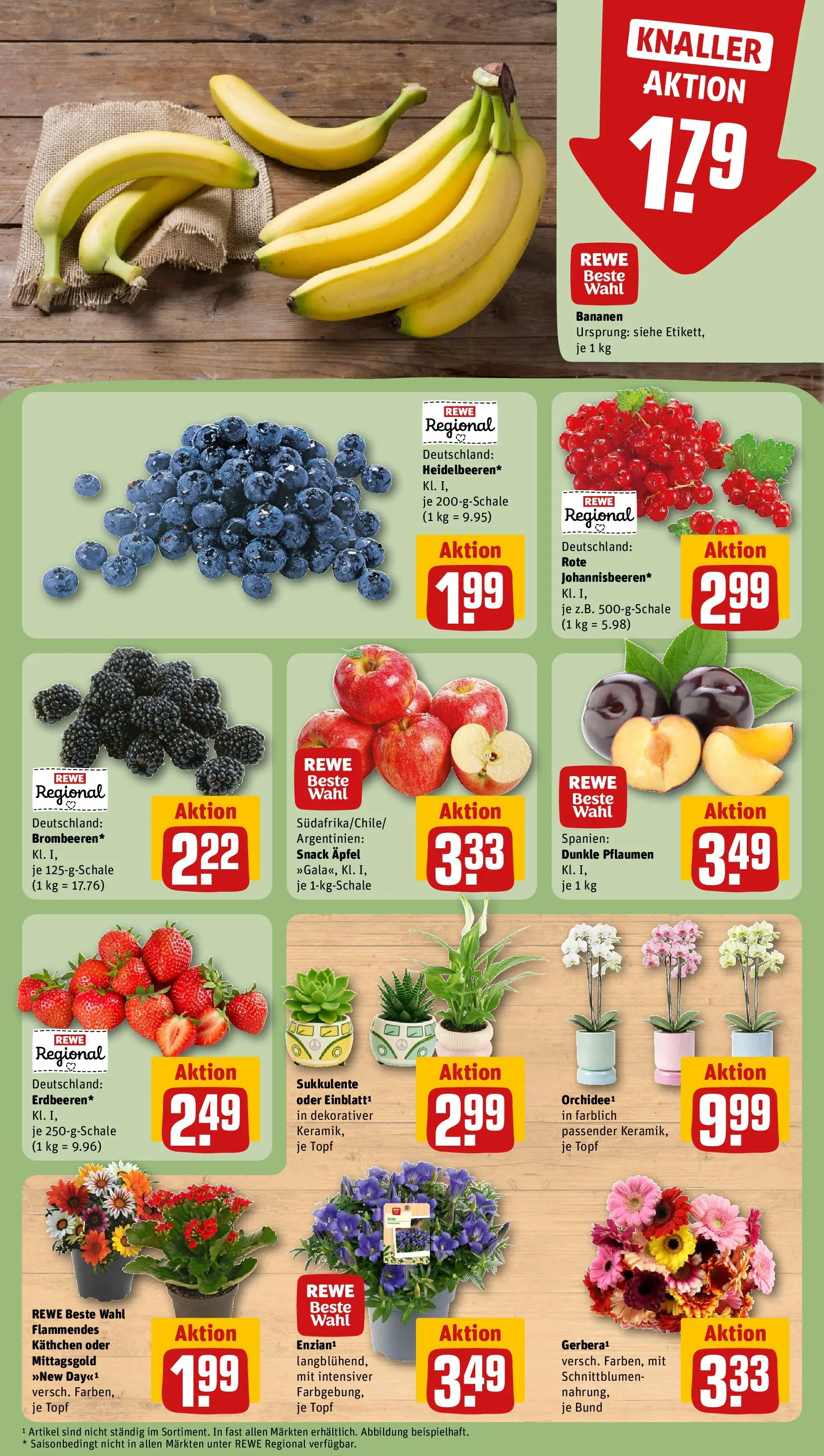 REWE Prospekt ab 20.07.2026 zum Blättern » Angebote | Seite: 9 | Produkte: Pflaumen, Äpfel, Bananen