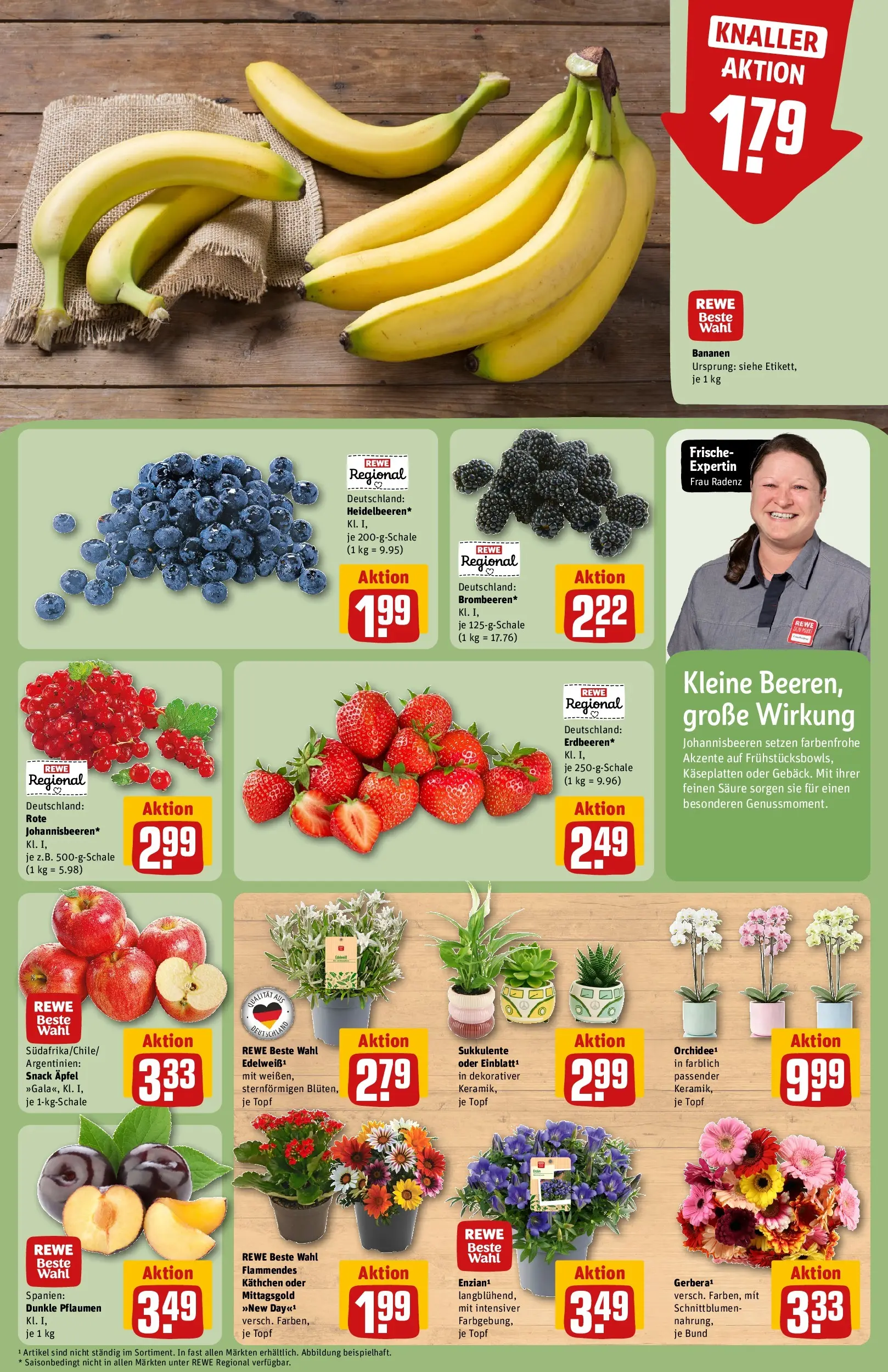 REWE Prospekt ab 20.07.2026 zum Blättern » Angebote | Seite: 9 | Produkte: Pflaumen, Äpfel, Bananen