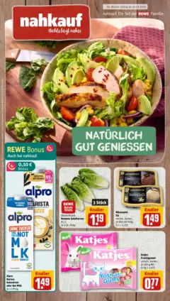 Rewe Prospekt Nordstrand ab 20.07.2026 gültig Rewe Prospekt Nordstrand ab 20.07.2026 gültig
