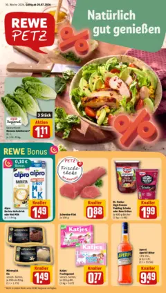 Rewe Prospekt Pulsnitz ab 20.07.2026 gültig