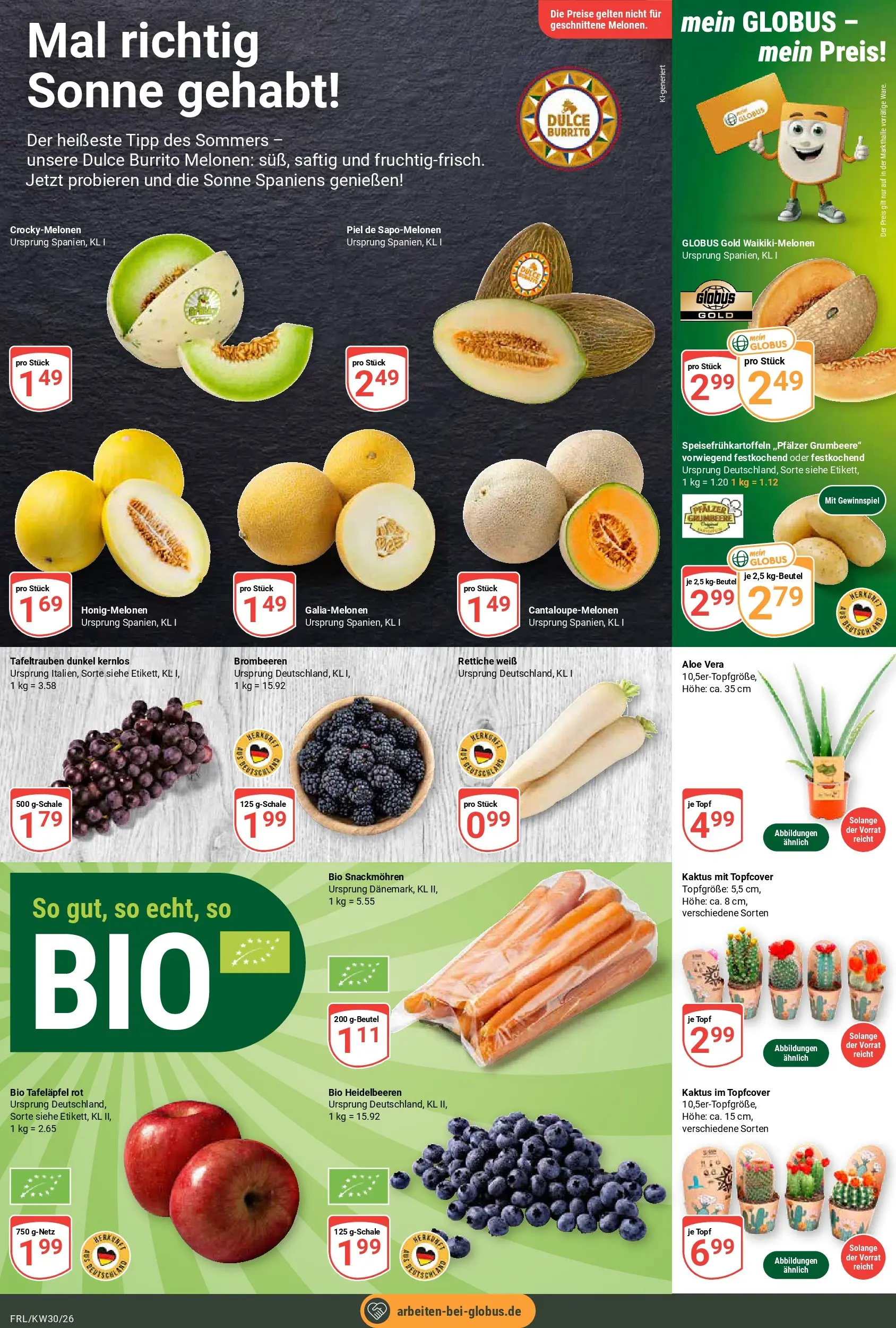 Globus Prospekt Freilassing (ab 20.07.2026) » Angebote online | Seite: 9 | Produkte: Heidelbeeren