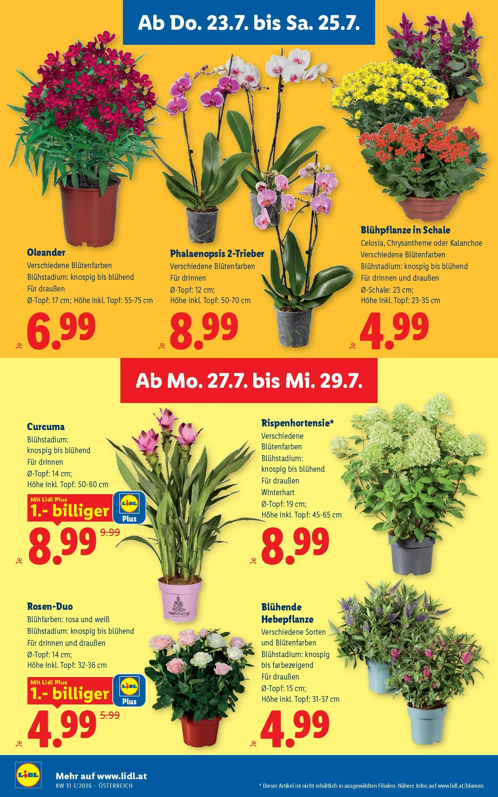 Lidl - Lidl ab 23.07.2026 - Angebote ab donnerstag | Seite: 30