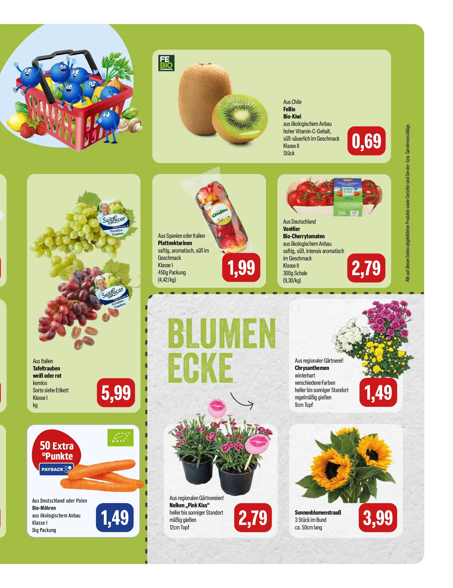 Feneberg Aktuelle Angebote (ab 22.07.2026) zum Blättern | Seite: 9 | Produkte: Trauben, Blumen