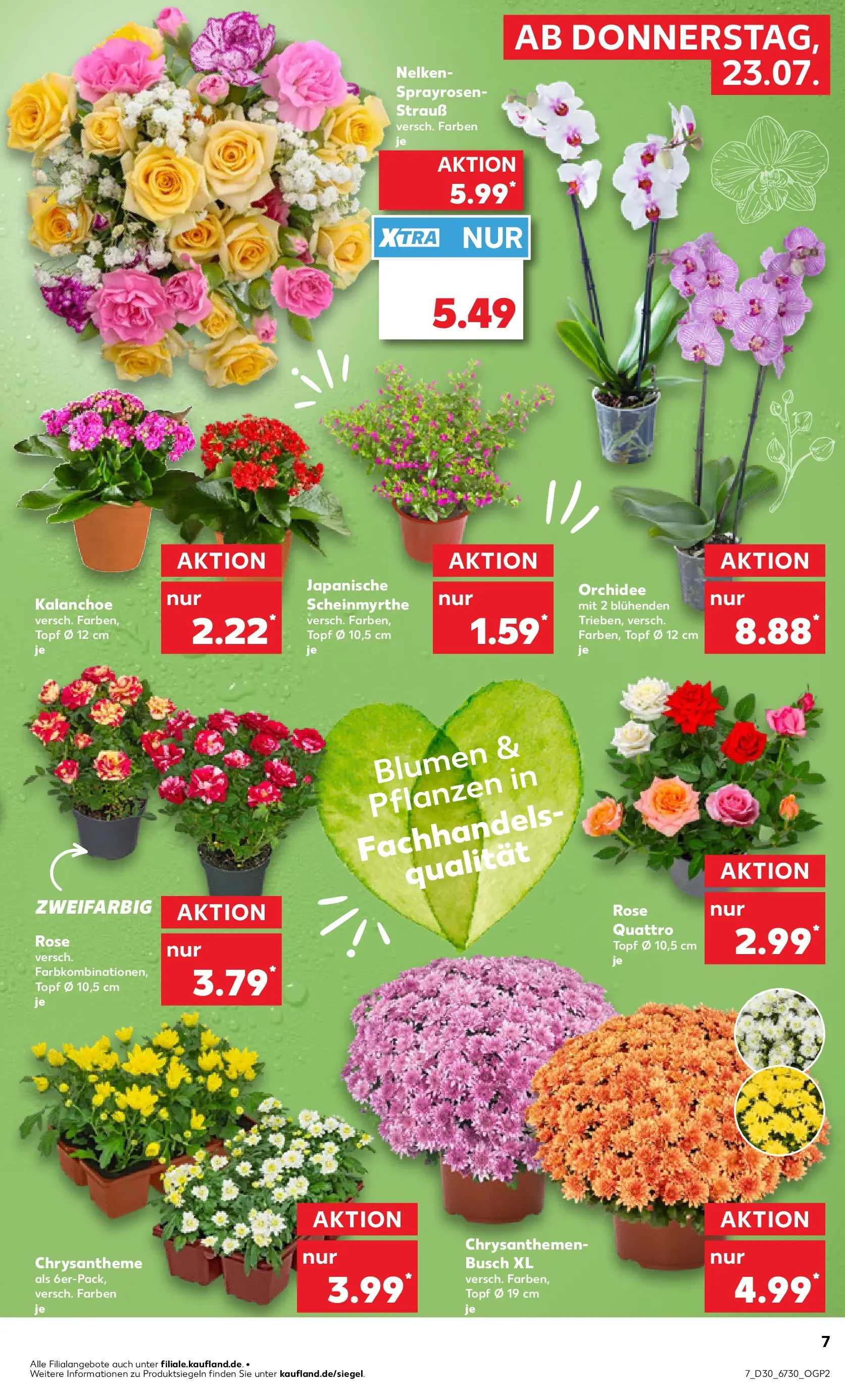 Prospekt Kaufland ab 20.07.2026 ยป Angebote und Werbung Online | Seite: 16 | Produkte: Orchidee, Blumen Prospekt Kaufland ab 20.07.2026 ยป Angebote Online zum Blรคttern | Seite: 16 | Produkte: Orchidee, Blumen