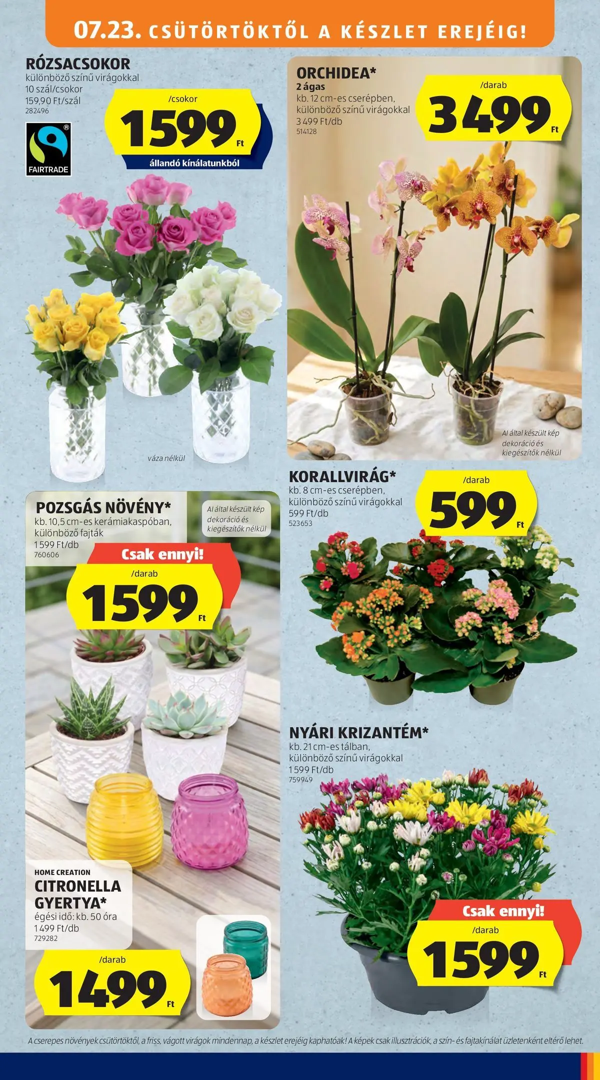 Aldi aktuális akciós újság - 2026.07.23. -tól/töl > akció, lapozható szórólap 🛍️ | Oldal: 45 | Termékek: Virágok, Váza, Óra, Dekoráció