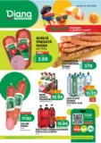 Catalog Diana până în data de 31.07.2026