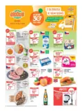 Globus 30 26 L1