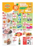 Globus 30 26 L1