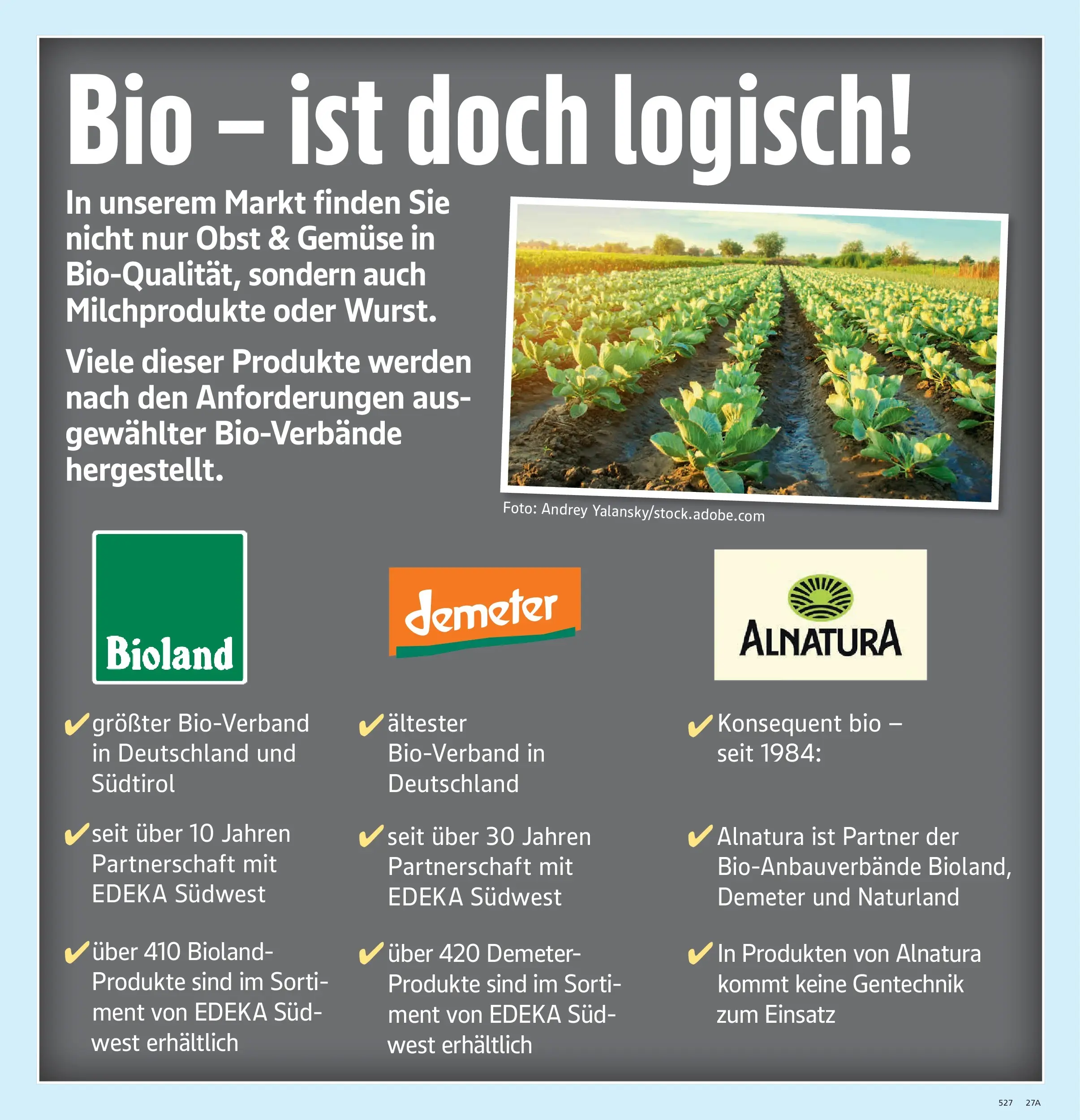Marktkauf Prospekt Aschaffenburg (ab 20.07.2026) » Angebote online | Seite: 31 | Produkte: Gemüse, Obst